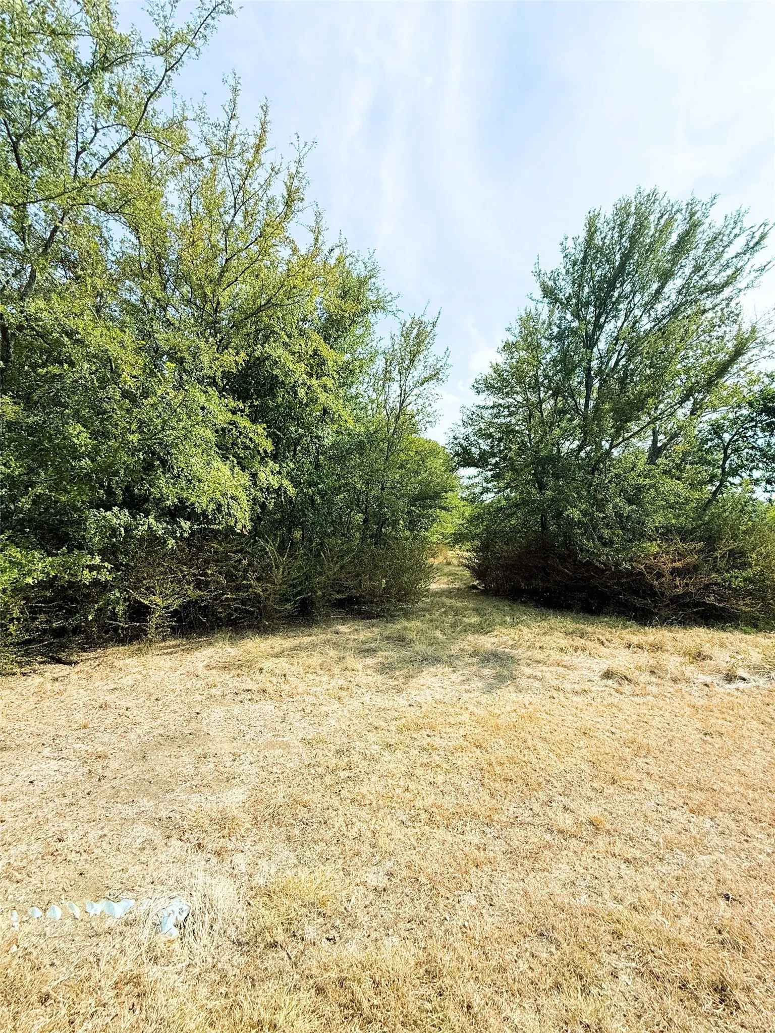 Unimproved Land For Sale in Rains County , 311 Harbor View, Point, Texas 75472, 0, 0, Garage spaces, 0 Sqft, built in 0, mls#21371724, Real Estate Agent in Point, Homes For Sale in Rains county, Homes For Sale in Point, Realtor in Point Texas, Real Estate Brokerage Independent Realty Texas, Luminita Cordes Realtor