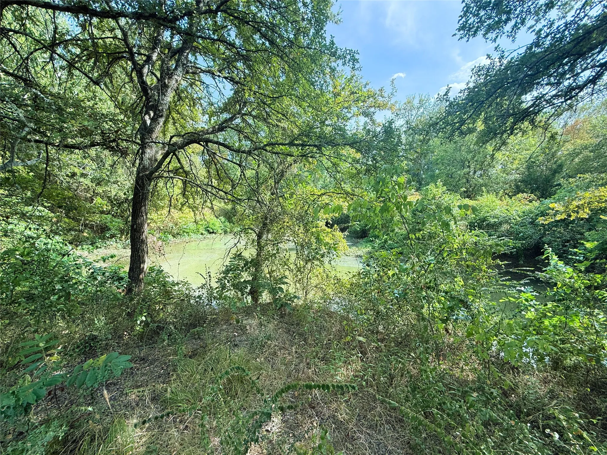 Wooded lot with mature trees and natural pond