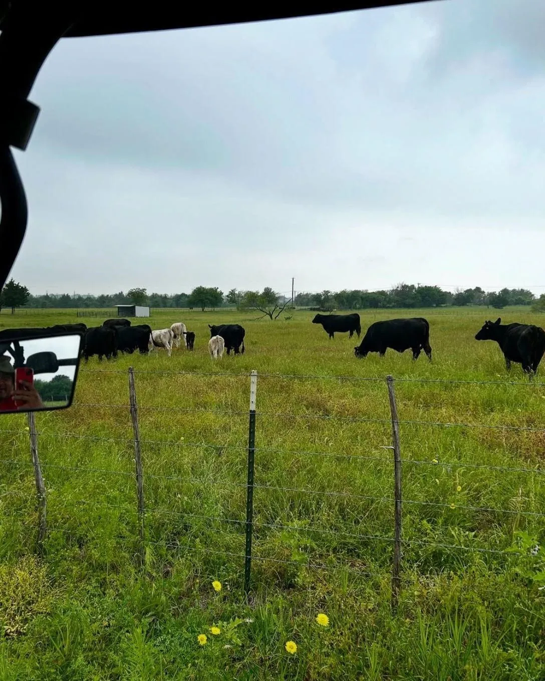Farm For Rent in Ellis County , 400 Bethel Road, Waxahachie, Texas 75167, 4 Bedroom, 3 Bathroom, 3 Garage spaces, 3,000 Sqft, built in 2017, mls#21372887, Real Estate Agent in Waxahachie, Homes For Rent in Ellis county, Homes For Rent in Waxahachie, Realtor in Waxahachie Texas, Real Estate Brokerage Independent Realty Texas, Luminita Cordes Realtor