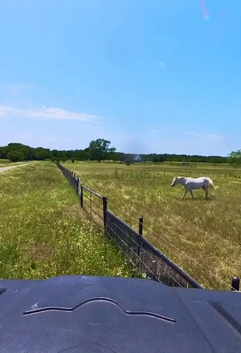 Farm For Rent in Ellis County , 400 Bethel Road, Waxahachie, Texas 75167, 4 Bedroom, 3 Bathroom, 3 Garage spaces, 3,000 Sqft, built in 2017, mls#21372887, Real Estate Agent in Waxahachie, Homes For Rent in Ellis county, Homes For Rent in Waxahachie, Realtor in Waxahachie Texas, Real Estate Brokerage Independent Realty Texas, Luminita Cordes Realtor