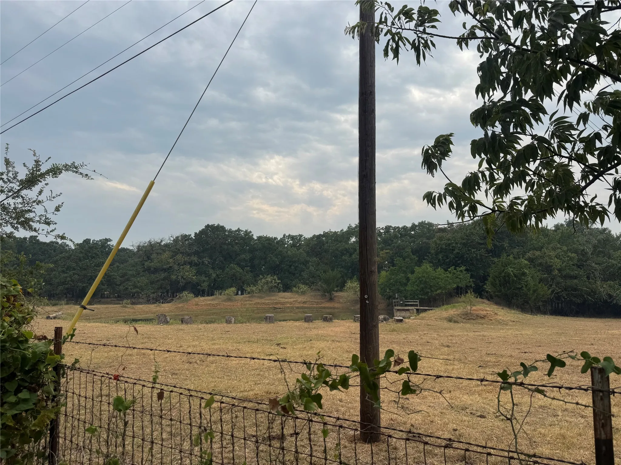 Unimproved Land For Sale in Johnson County , TBD county road 810, Alvarado, Texas 76009, 0, 0, Garage spaces, 0 Sqft, built in 0, mls#21372905, Real Estate Agent in Alvarado, Homes For Sale in Johnson county, Homes For Sale in Alvarado, Realtor in Alvarado Texas, Real Estate Brokerage Independent Realty Texas, Luminita Cordes Realtor