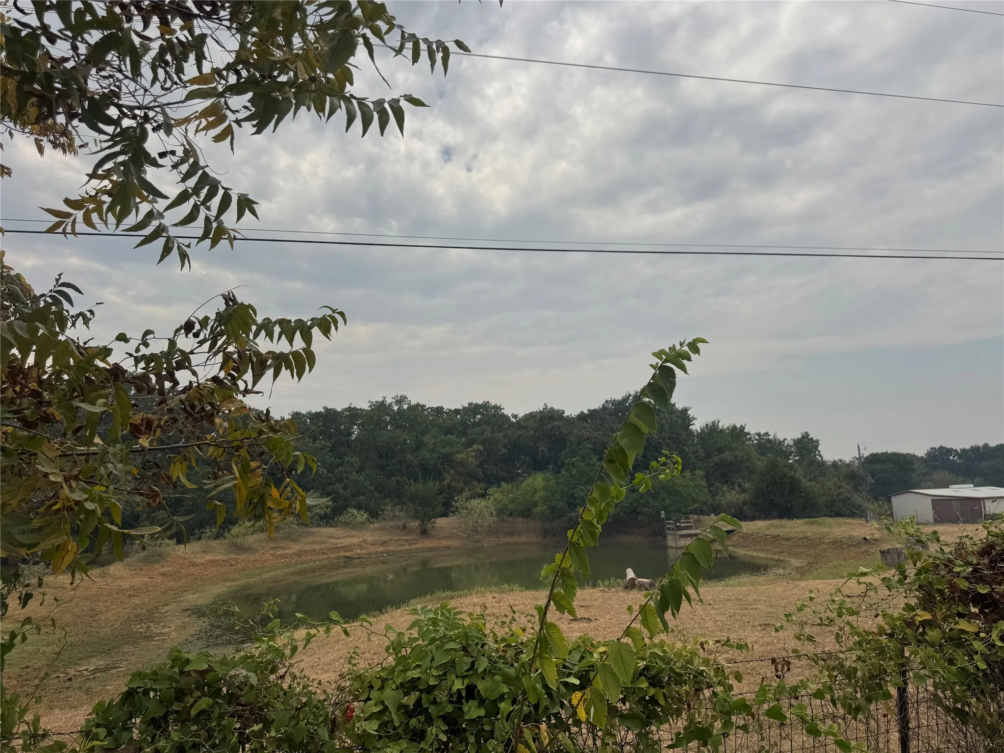 view from outside the fence on CR 810