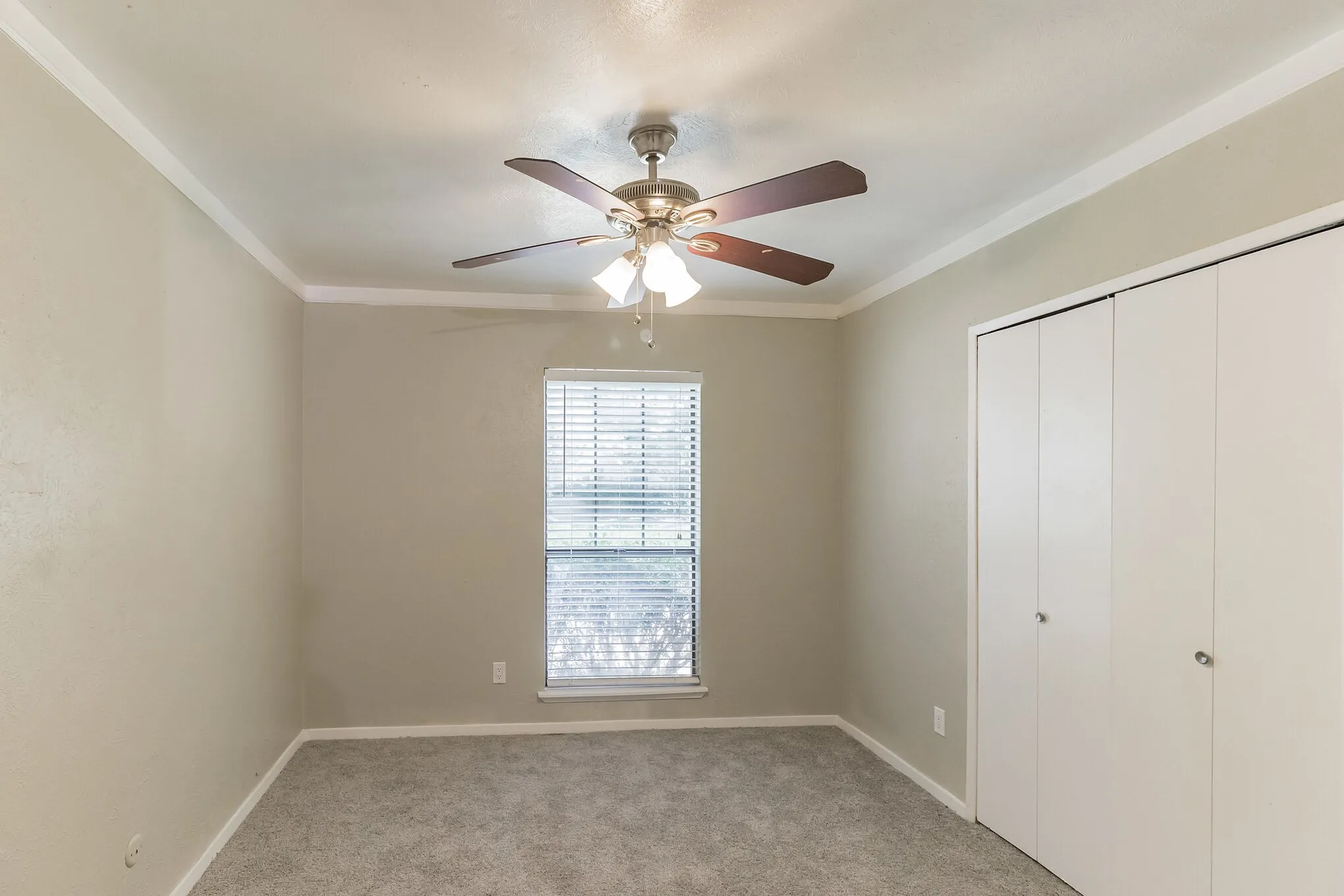 Single Family Residence For Rent in Dallas County , 3117 San Diego Drive, Dallas, Texas 75228, 3 Bedroom, 2 Bathroom, 2 Garage spaces, 1,674 Sqft, built in 1979, mls#21372906, Real Estate Agent in Dallas, Homes For Rent in Dallas county, Homes For Rent in Dallas, Realtor in Dallas Texas, Real Estate Brokerage Independent Realty Texas, Luminita Cordes Realtor