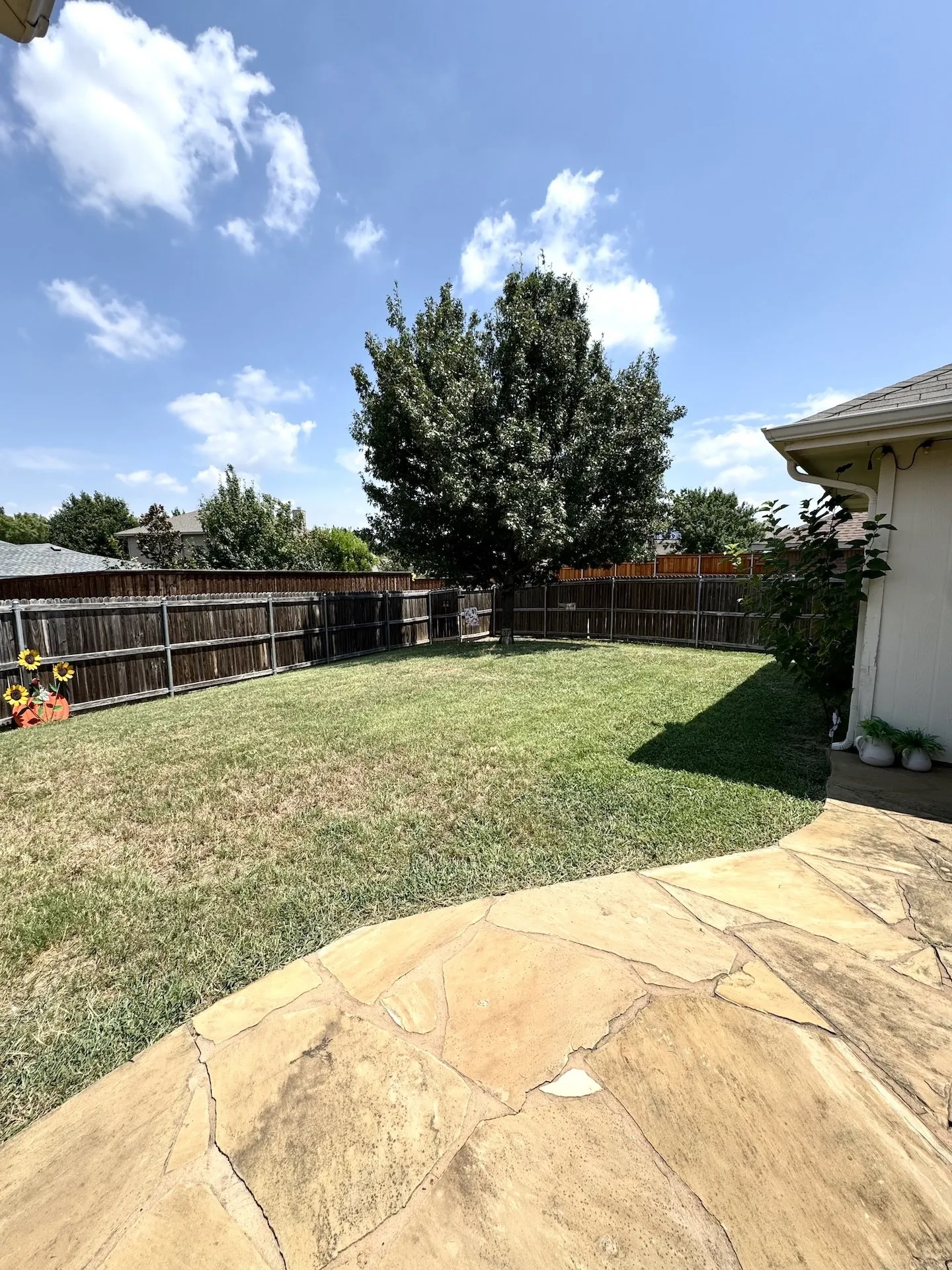 Expansive backyard featuring a mature tree, wood privacy fencing, and a flagstone patio