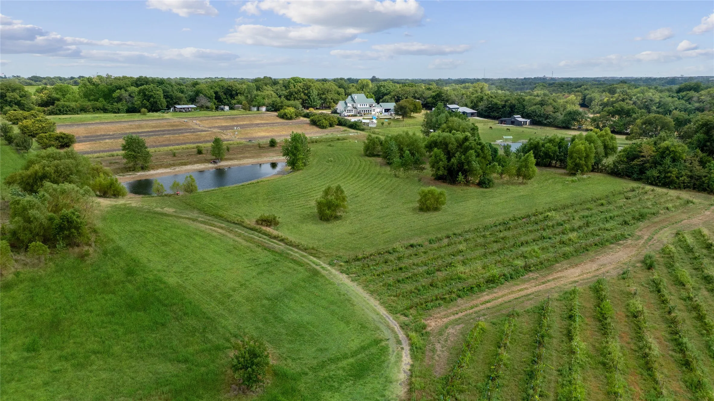 Improved Land For Sale in Collin County , 7505 CR 201, Mc Kinney, Texas 75071, 0, 0, Garage spaces, 0 Sqft, built in 1965, mls#21351544, Real Estate Agent in Mc Kinney, Homes For Sale in Collin county, Homes For Sale in Mc Kinney, Realtor in Mc Kinney Texas, Real Estate Brokerage Independent Realty Texas, Luminita Cordes Realtor