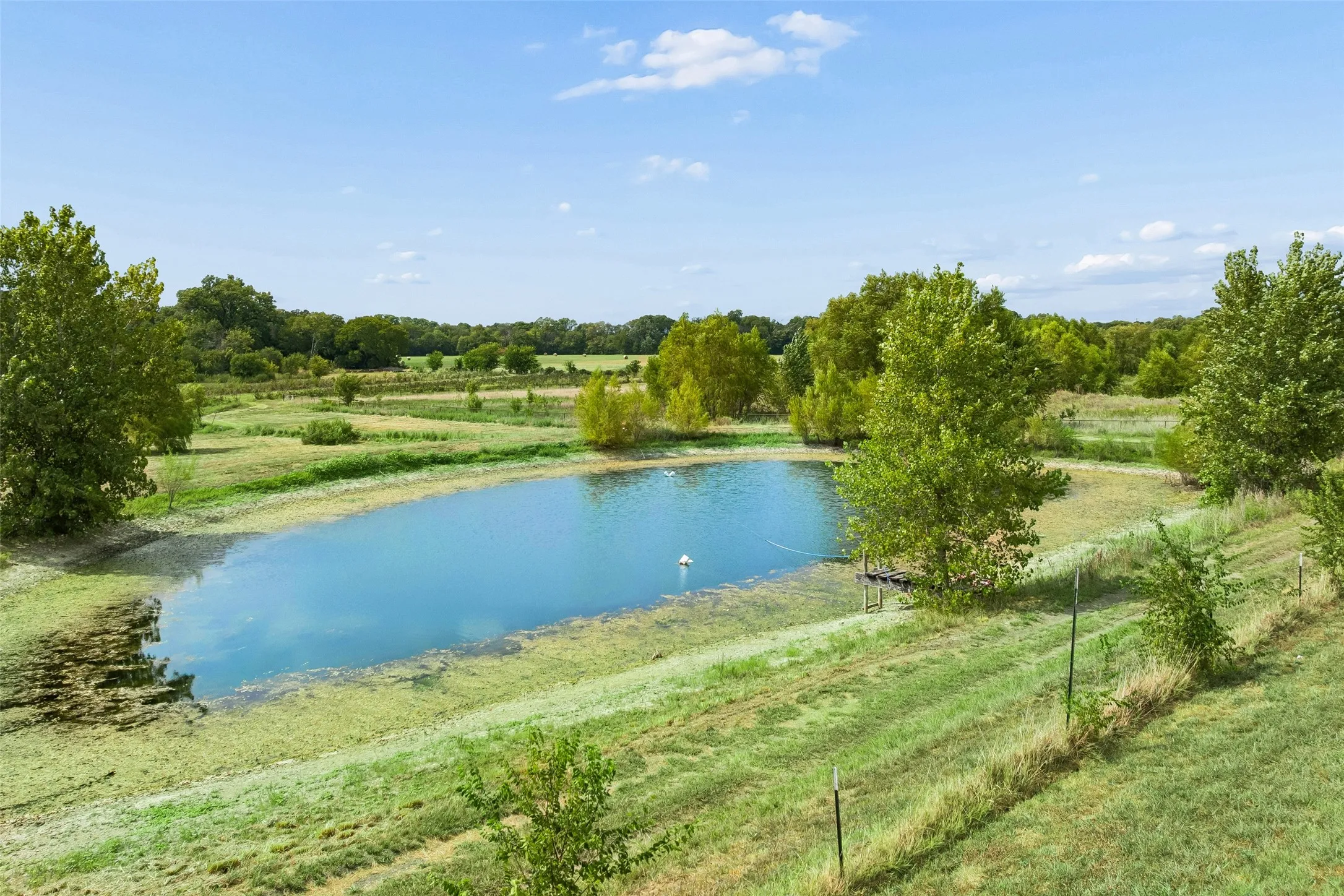 Improved Land For Sale in Collin County , 7505 CR 201, Mc Kinney, Texas 75071, 0, 0, Garage spaces, 0 Sqft, built in 1965, mls#21351544, Real Estate Agent in Mc Kinney, Homes For Sale in Collin county, Homes For Sale in Mc Kinney, Realtor in Mc Kinney Texas, Real Estate Brokerage Independent Realty Texas, Luminita Cordes Realtor