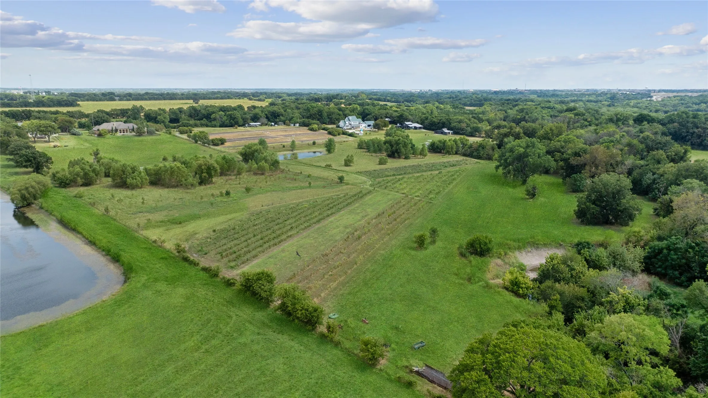 Improved Land For Sale in Collin County , 7505 CR 201, Mc Kinney, Texas 75071, 0, 0, Garage spaces, 0 Sqft, built in 1965, mls#21351544, Real Estate Agent in Mc Kinney, Homes For Sale in Collin county, Homes For Sale in Mc Kinney, Realtor in Mc Kinney Texas, Real Estate Brokerage Independent Realty Texas, Luminita Cordes Realtor