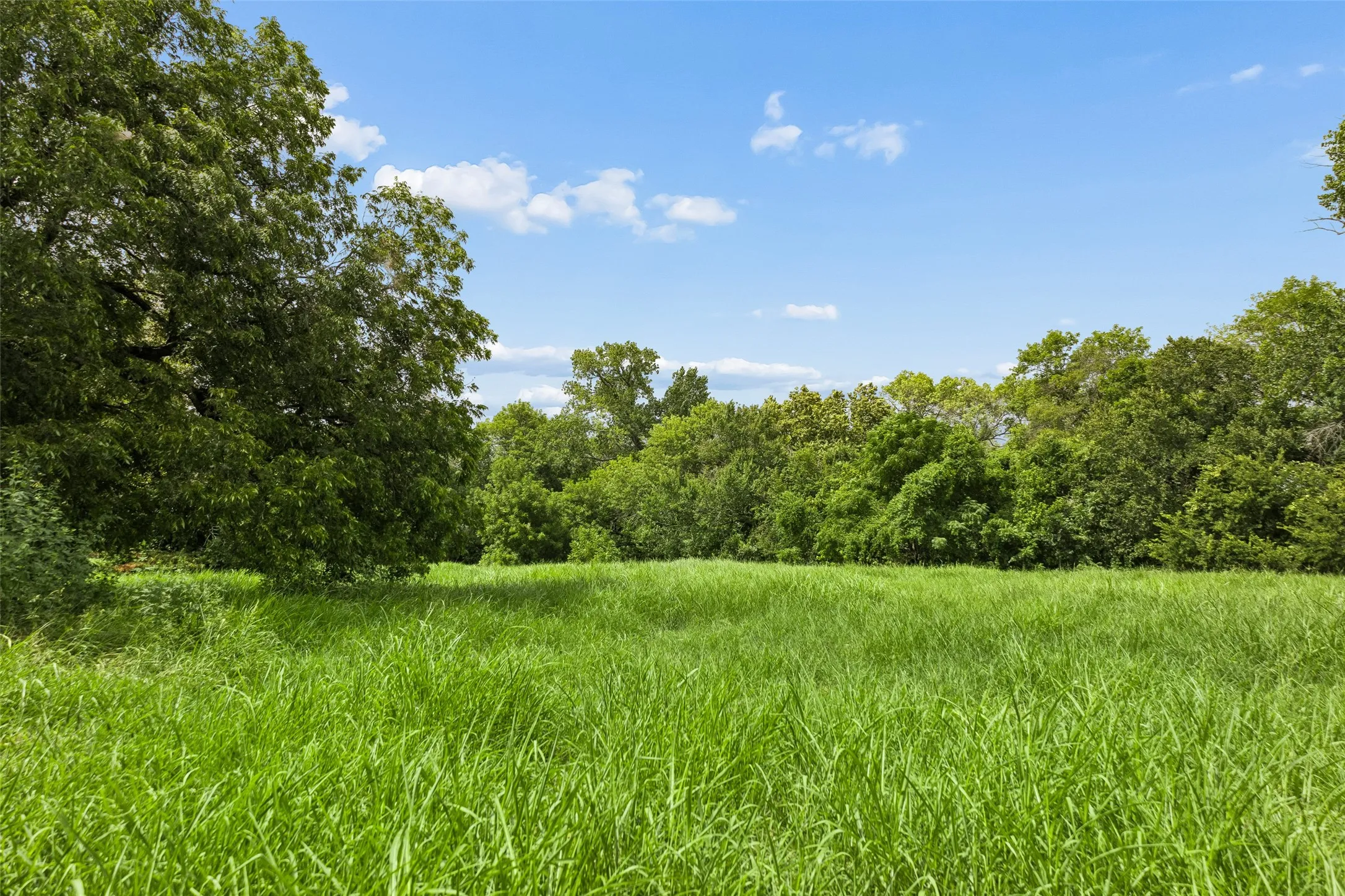 Improved Land For Sale in Collin County , 7505 CR 201, Mc Kinney, Texas 75071, 0, 0, Garage spaces, 0 Sqft, built in 1965, mls#21351544, Real Estate Agent in Mc Kinney, Homes For Sale in Collin county, Homes For Sale in Mc Kinney, Realtor in Mc Kinney Texas, Real Estate Brokerage Independent Realty Texas, Luminita Cordes Realtor
