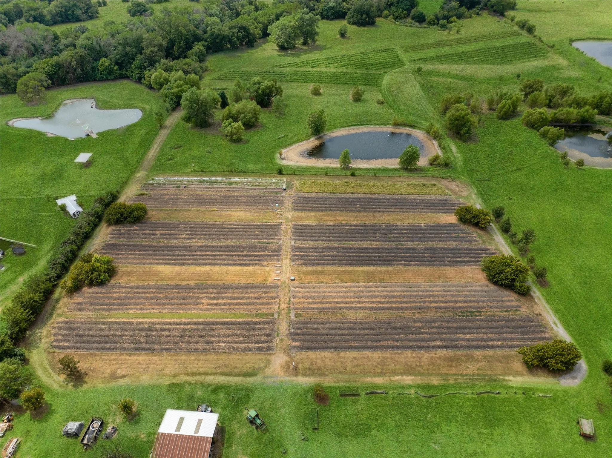 Improved Land For Sale in Collin County , 7505 CR 201, Mc Kinney, Texas 75071, 0, 0, Garage spaces, 0 Sqft, built in 1965, mls#21351544, Real Estate Agent in Mc Kinney, Homes For Sale in Collin county, Homes For Sale in Mc Kinney, Realtor in Mc Kinney Texas, Real Estate Brokerage Independent Realty Texas, Luminita Cordes Realtor