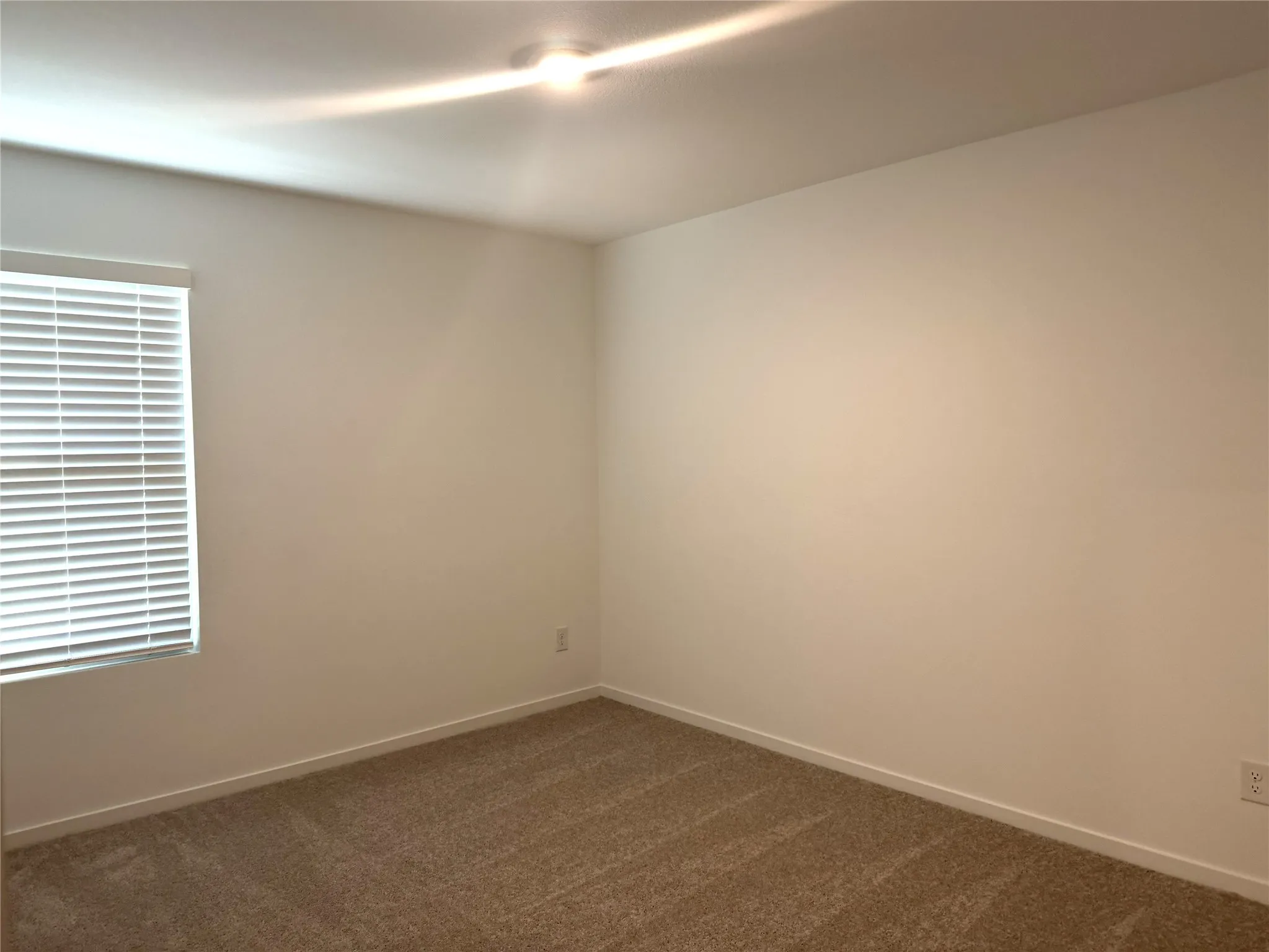 Neutral wall paint, track lighting, window with blinds, and carpeted flooring