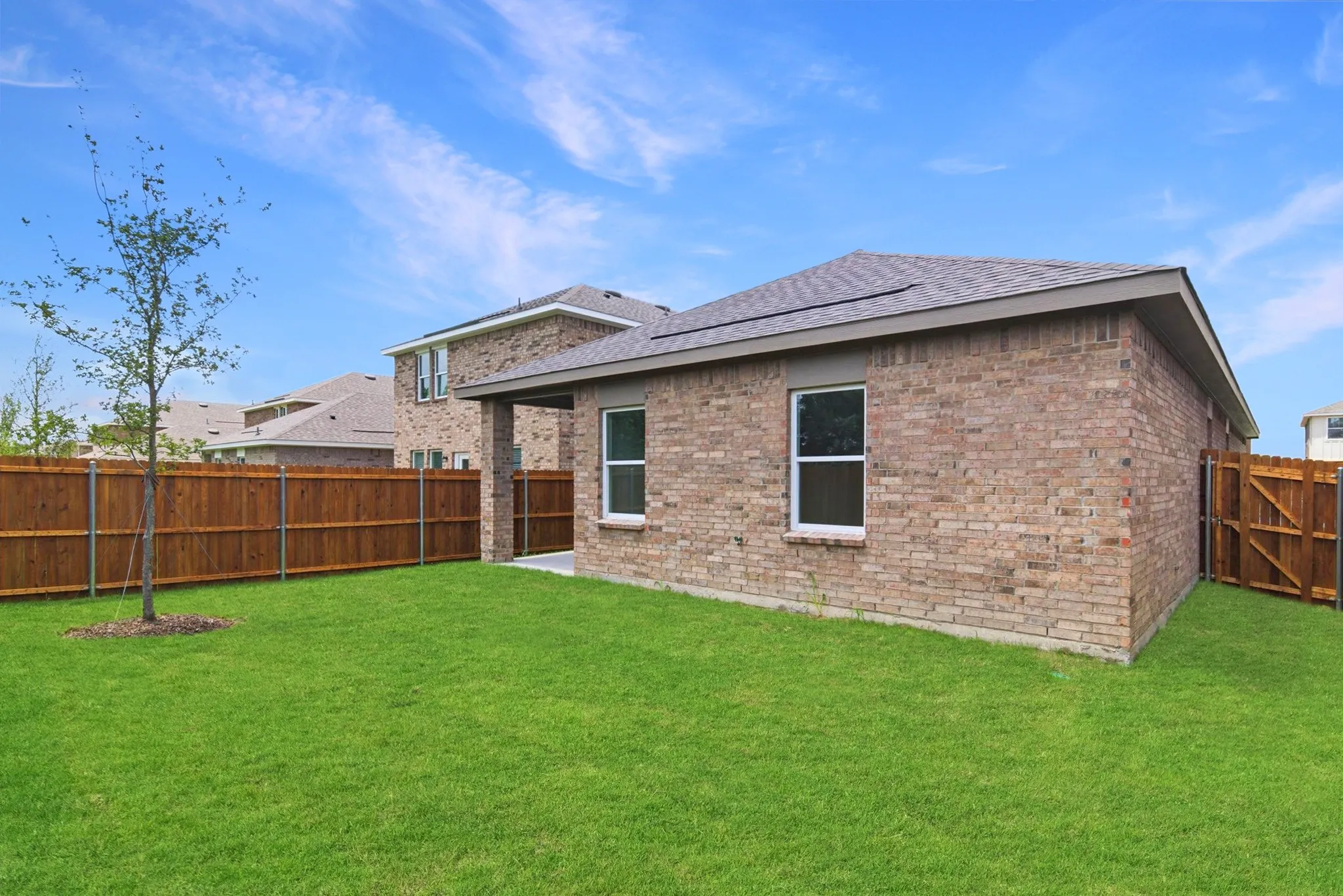 Expansive green lawn with a newly planted tree