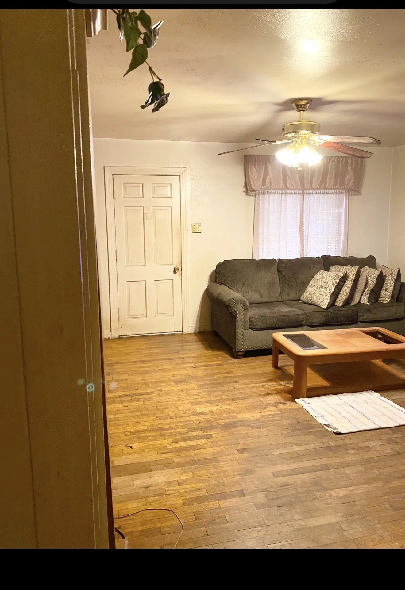 Spacious living room with wood-finish flooring, gray upholstered seating, ceiling fan with integrated lighting, and abundant natural light from windows dressed with sheer treatments