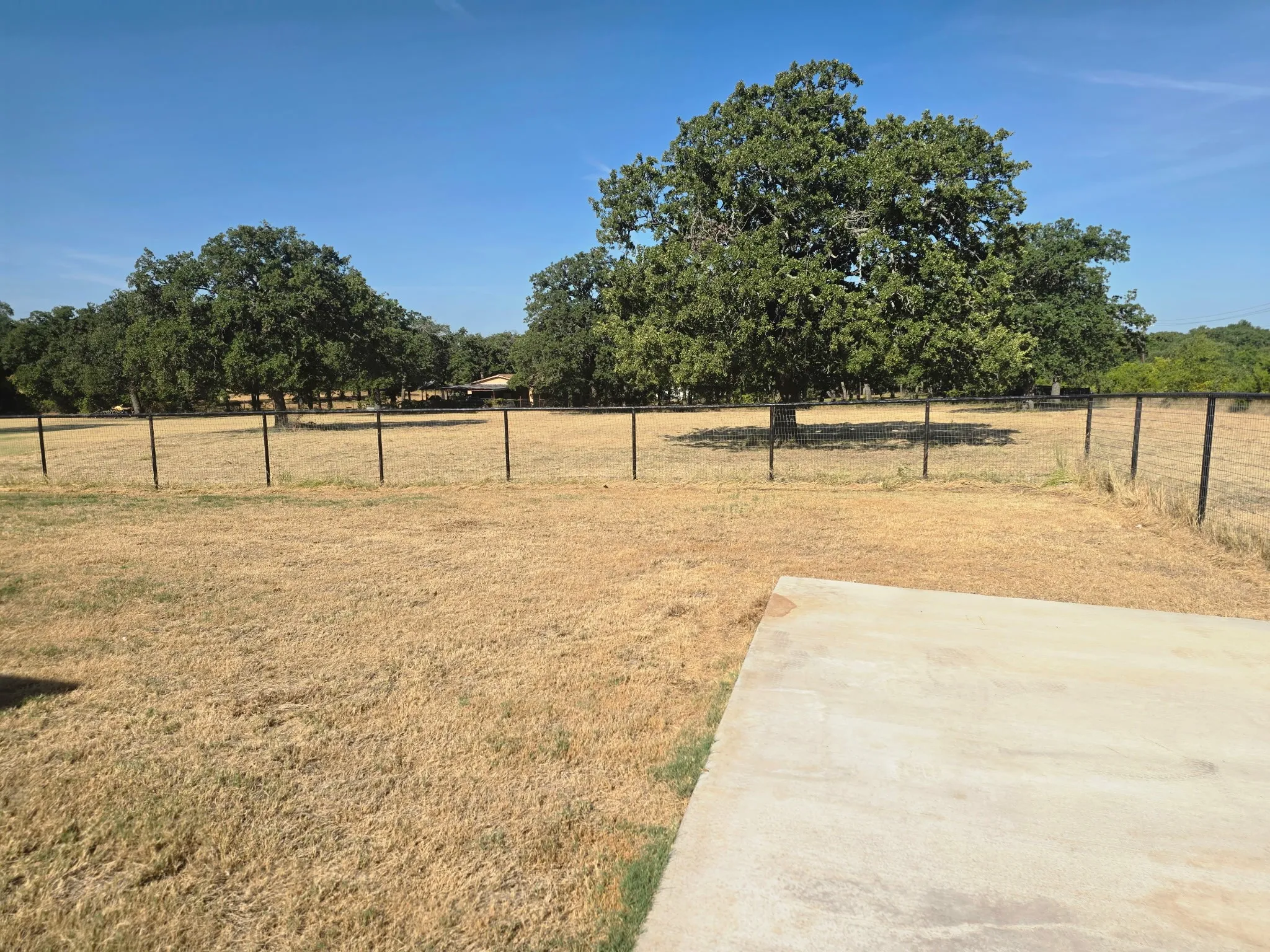 Pasture