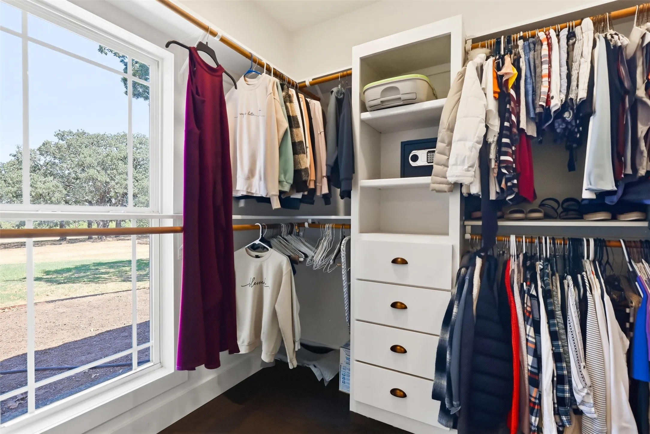 Primary closet