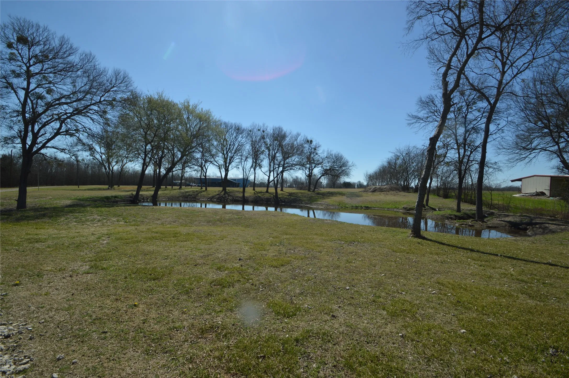 Pecan Orchard and pond in the back!