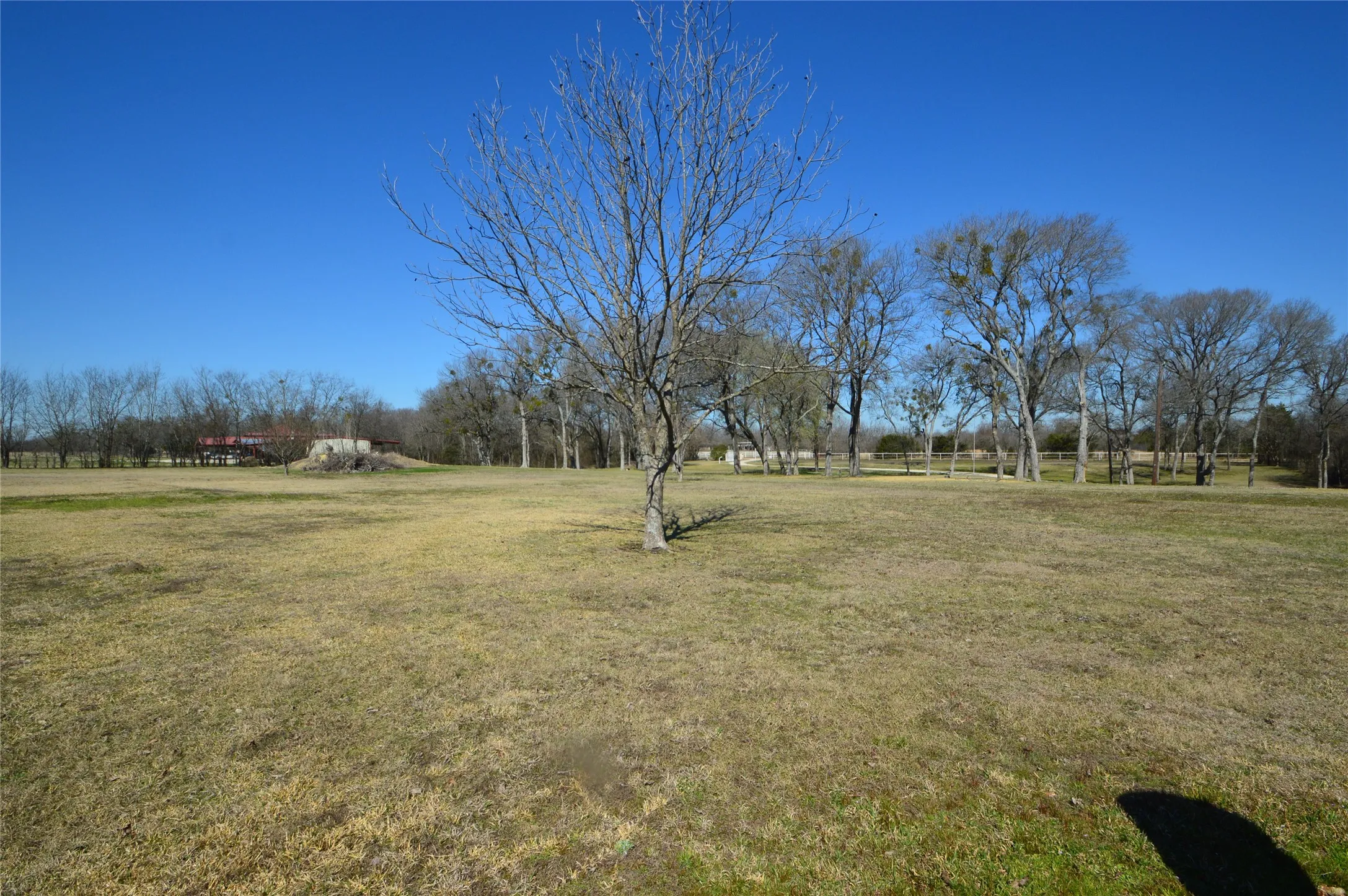 Single Family Residence For Sale in Rains County , 4881 White Rock, Lone Oak, Texas 75453, 2 Bedroom, 2 Bathroom, 2 Garage spaces, 1,200 Sqft, built in 1994, mls#21373005, Real Estate Agent in Lone Oak, Homes For Sale in Rains county, Homes For Sale in Lone Oak, Realtor in Lone Oak Texas, Real Estate Brokerage Independent Realty Texas, Luminita Cordes Realtor