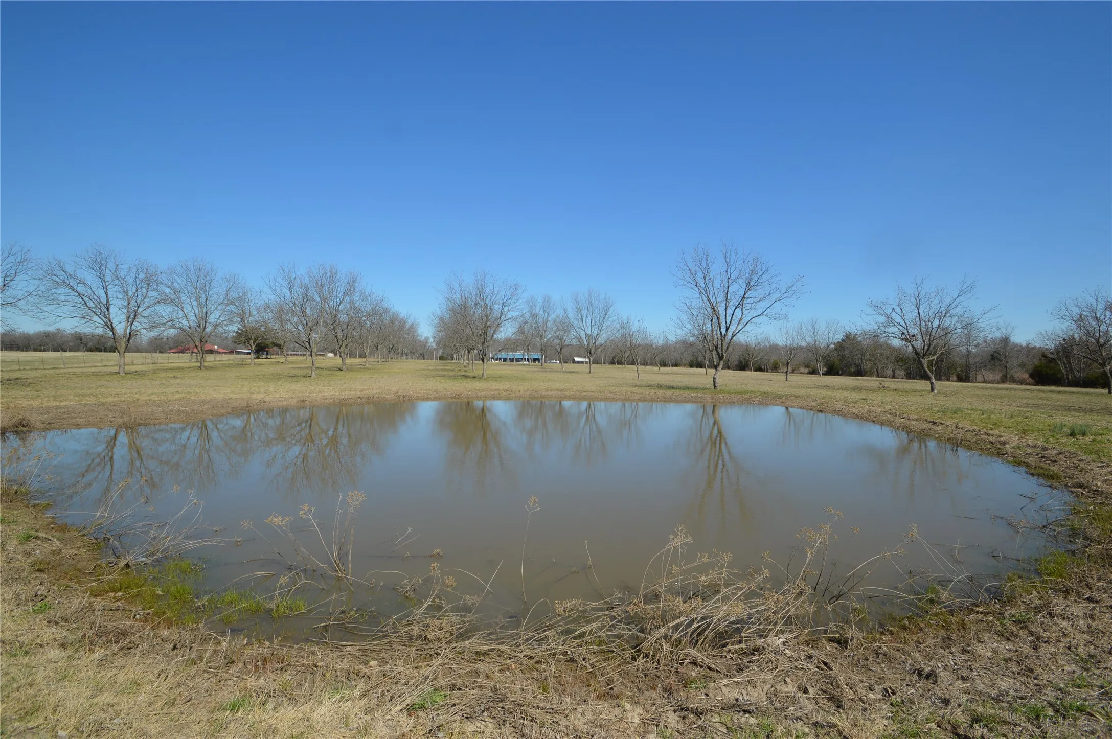 Single Family Residence For Sale in Rains County , 4881 White Rock, Lone Oak, Texas 75453, 2 Bedroom, 2 Bathroom, 2 Garage spaces, 1,200 Sqft, built in 1994, mls#21373005, Real Estate Agent in Lone Oak, Homes For Sale in Rains county, Homes For Sale in Lone Oak, Realtor in Lone Oak Texas, Real Estate Brokerage Independent Realty Texas, Luminita Cordes Realtor