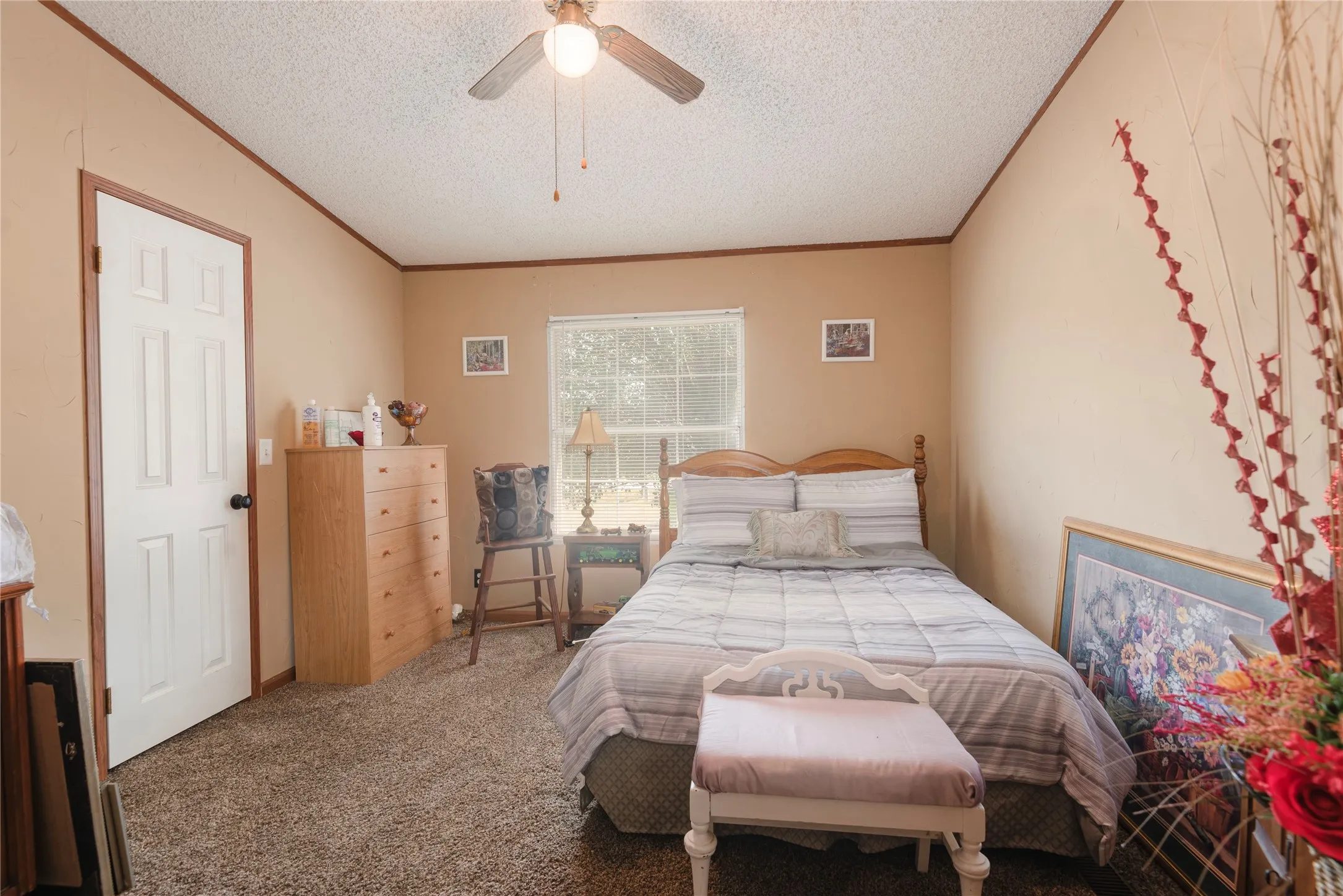 Carpeted flooring with a contrasting ceiling fan and a window providing natural light