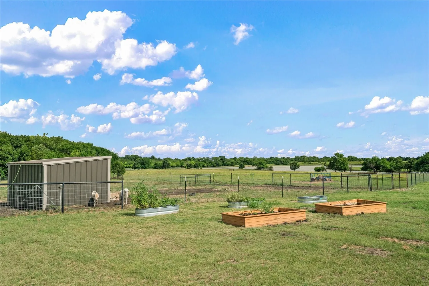 Expansive green pasture with a metal utility structure, perimeter fencing, and raised garden beds