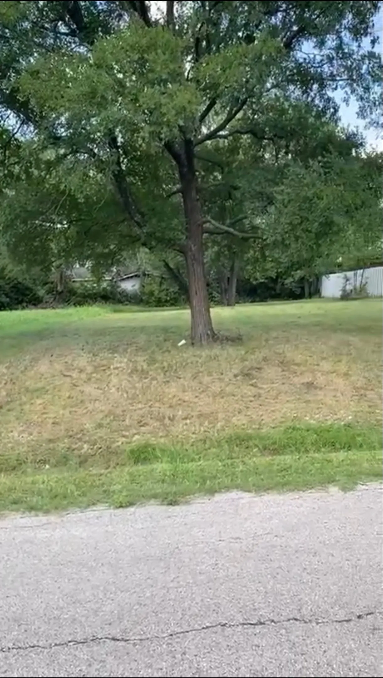 Unimproved Land For Sale in Dallas County , 2318 Tallyho Lane, Dallas, Texas 75212, 0, 0, Garage spaces, 0 Sqft, built in 0, mls#21373043, Real Estate Agent in Dallas, Homes For Sale in Dallas county, Homes For Sale in Dallas, Realtor in Dallas Texas, Real Estate Brokerage Independent Realty Texas, Luminita Cordes Realtor