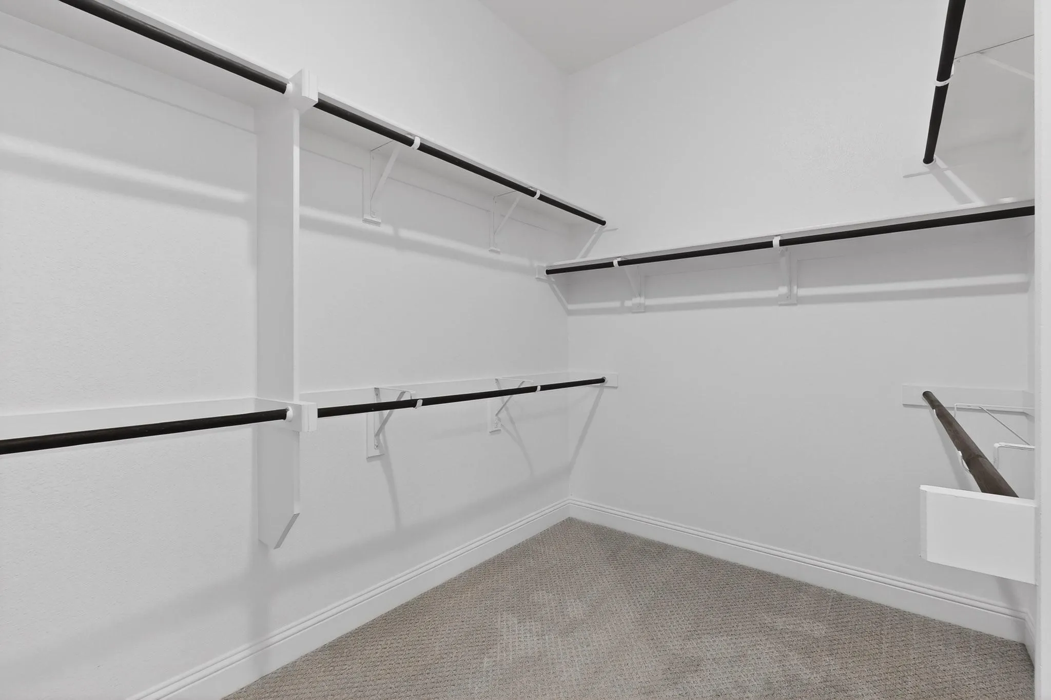 Walk-in closet featuring built-in shelving, multiple hanging rods, and neutral-toned carpeting