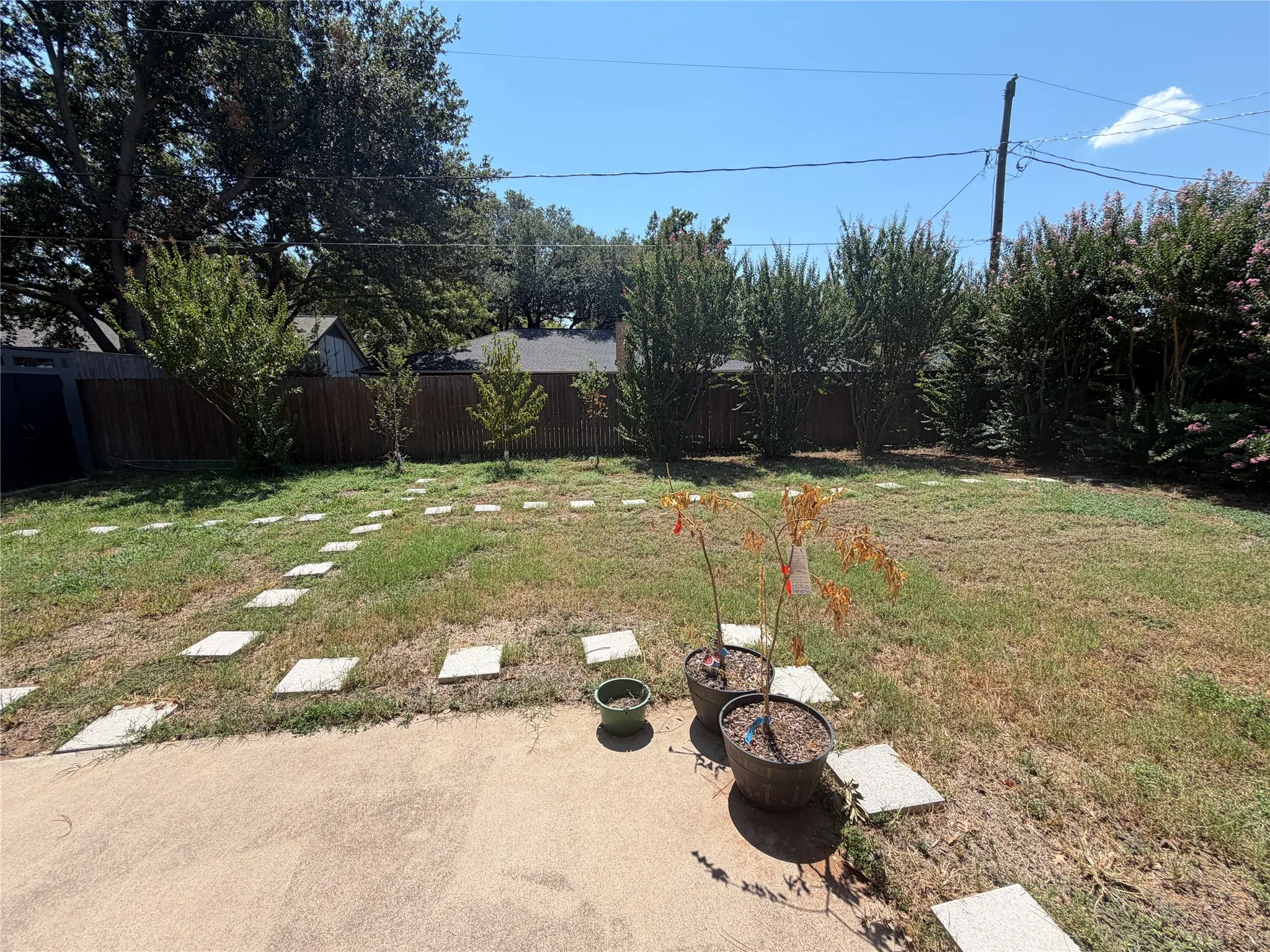 Expansive backyard featuring a concrete patio, stepping stone pathway, and mature privacy shrubs