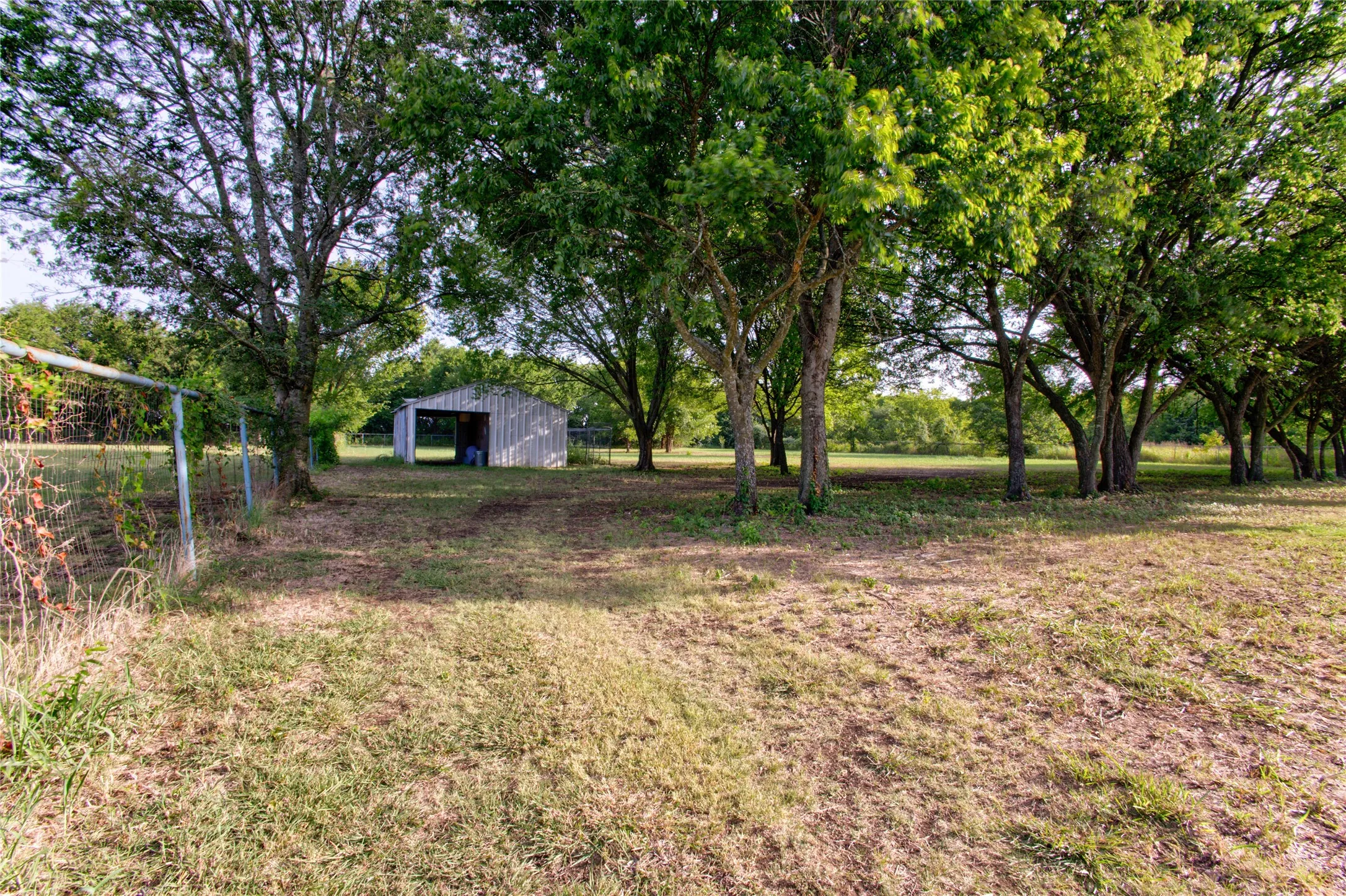 Expansive outdoor space featuring mature trees and a metal outbuilding