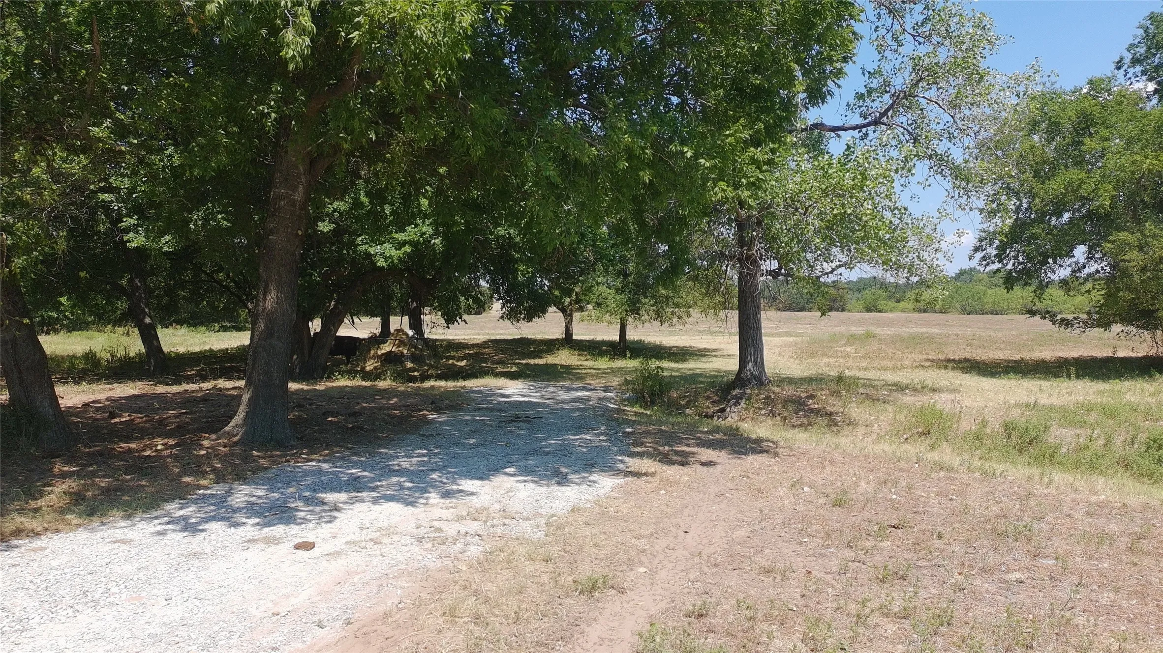 Ranch For Sale in Parker County , 630 Harmony Road, Weatherford, Texas 76087, 0, 0, Garage spaces, 0 Sqft, built in 0, mls#21371489, Real Estate Agent in Weatherford, Homes For Sale in Parker county, Homes For Sale in Weatherford, Realtor in Weatherford Texas, Real Estate Brokerage Independent Realty Texas, Luminita Cordes Realtor