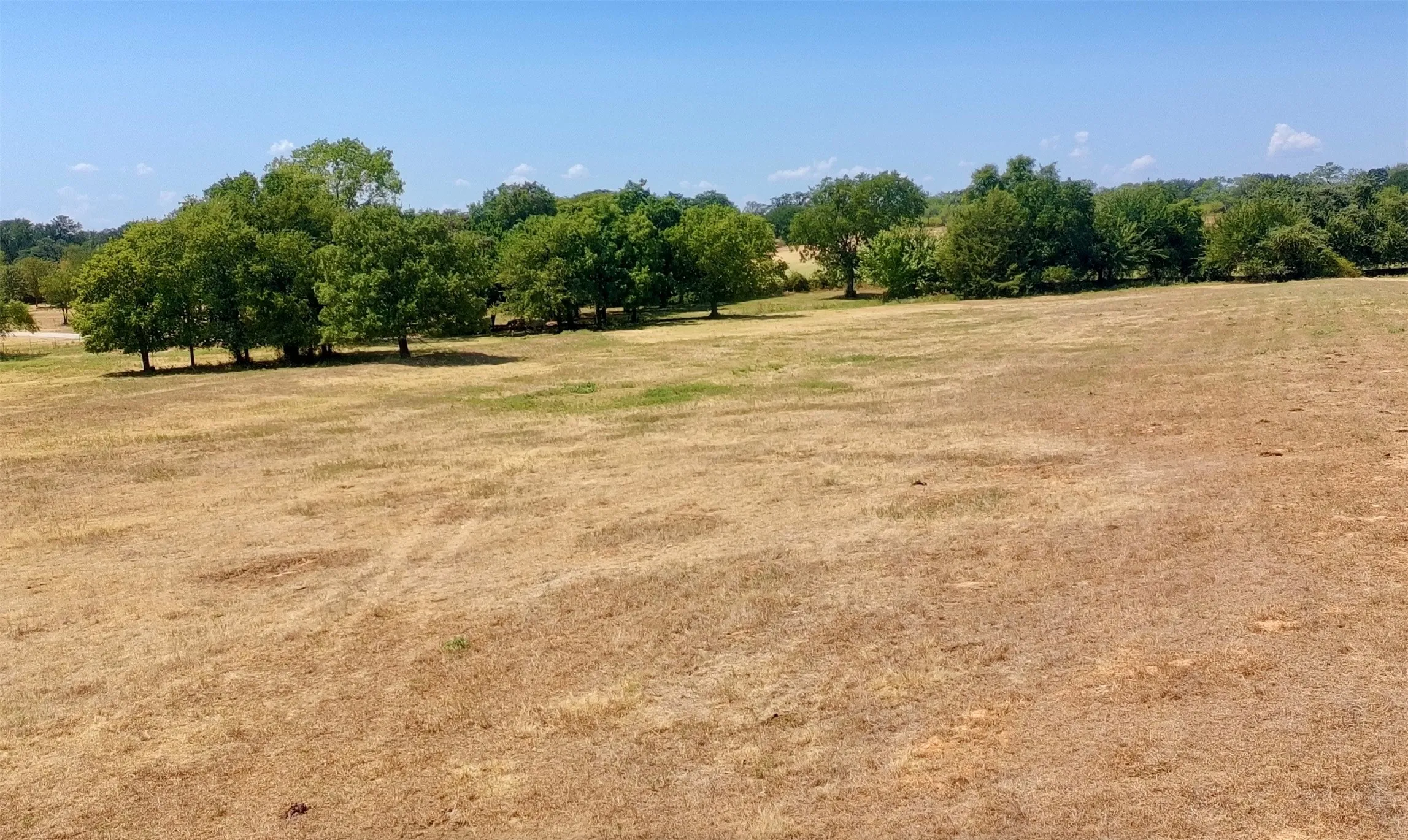 Ranch For Sale in Parker County , 630 Harmony Road, Weatherford, Texas 76087, 0, 0, Garage spaces, 0 Sqft, built in 0, mls#21371489, Real Estate Agent in Weatherford, Homes For Sale in Parker county, Homes For Sale in Weatherford, Realtor in Weatherford Texas, Real Estate Brokerage Independent Realty Texas, Luminita Cordes Realtor