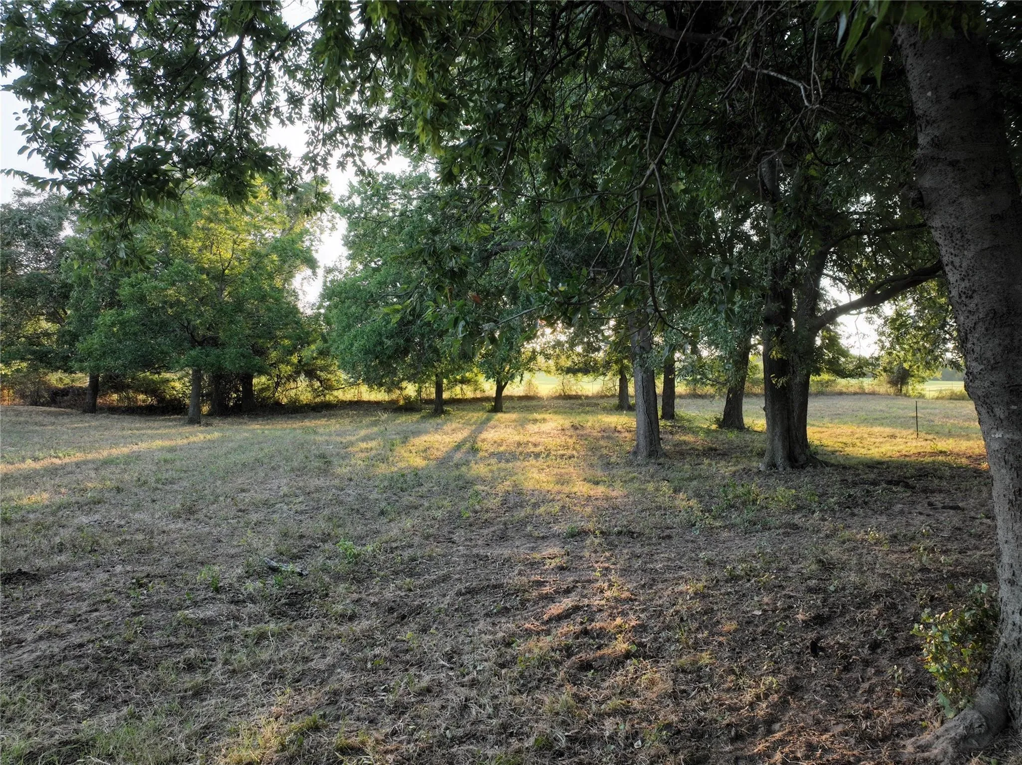 Ranch For Sale in Parker County , 630 Harmony Road, Weatherford, Texas 76087, 0, 0, Garage spaces, 0 Sqft, built in 0, mls#21371489, Real Estate Agent in Weatherford, Homes For Sale in Parker county, Homes For Sale in Weatherford, Realtor in Weatherford Texas, Real Estate Brokerage Independent Realty Texas, Luminita Cordes Realtor