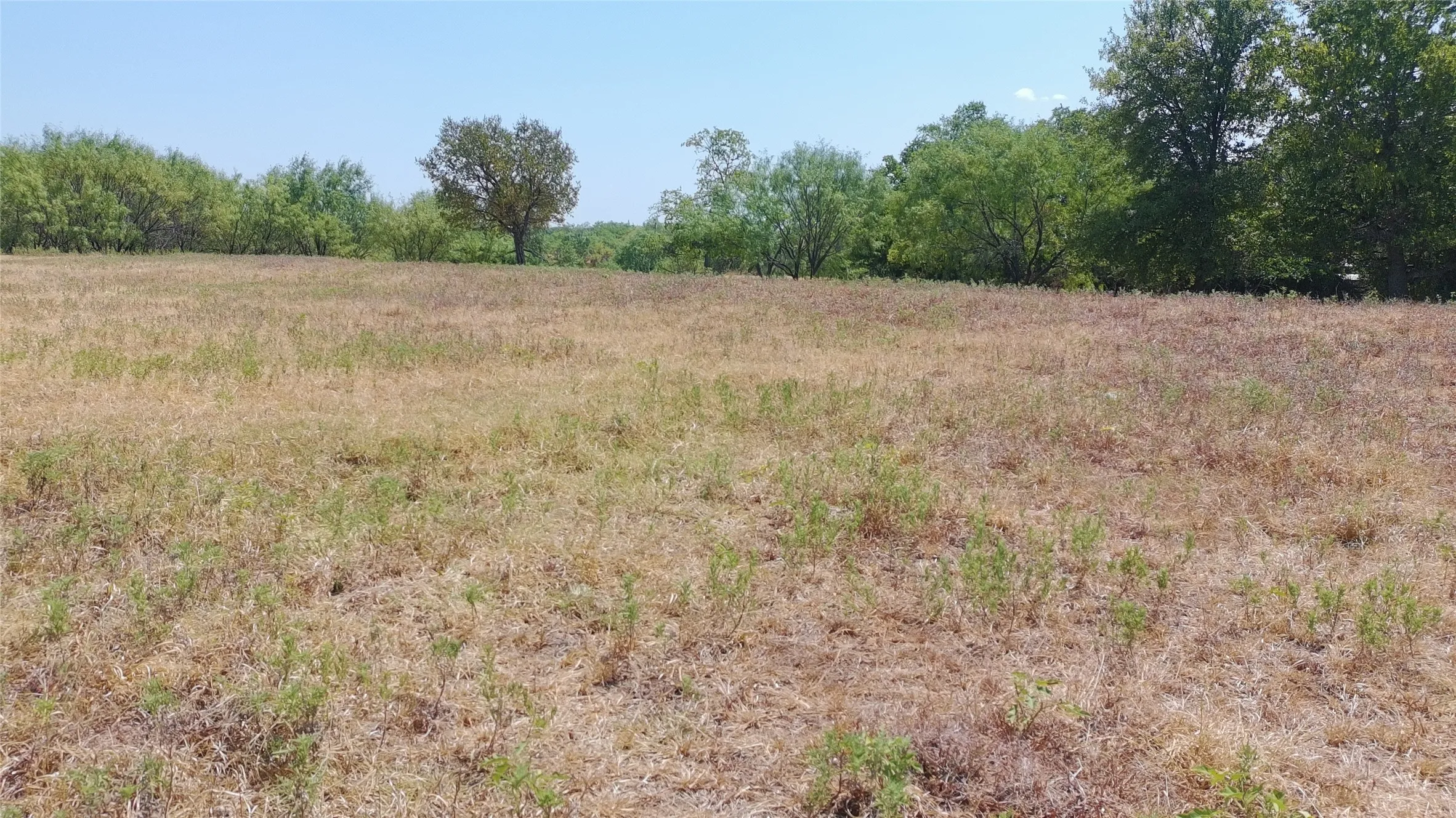 Ranch For Sale in Parker County , 630 Harmony Road, Weatherford, Texas 76087, 0, 0, Garage spaces, 0 Sqft, built in 0, mls#21371489, Real Estate Agent in Weatherford, Homes For Sale in Parker county, Homes For Sale in Weatherford, Realtor in Weatherford Texas, Real Estate Brokerage Independent Realty Texas, Luminita Cordes Realtor