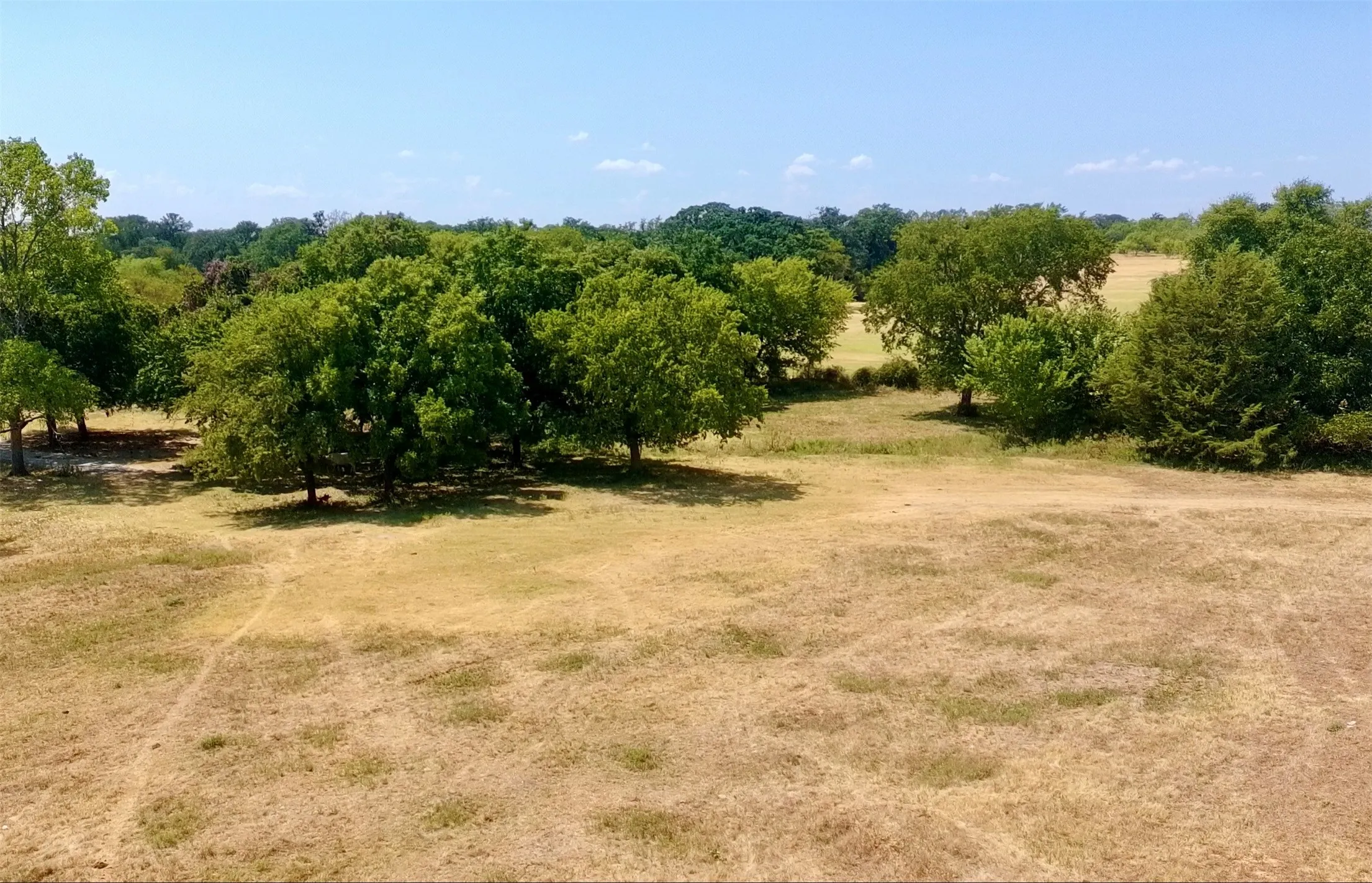 Ranch For Sale in Parker County , 630 Harmony Road, Weatherford, Texas 76087, 0, 0, Garage spaces, 0 Sqft, built in 0, mls#21371489, Real Estate Agent in Weatherford, Homes For Sale in Parker county, Homes For Sale in Weatherford, Realtor in Weatherford Texas, Real Estate Brokerage Independent Realty Texas, Luminita Cordes Realtor