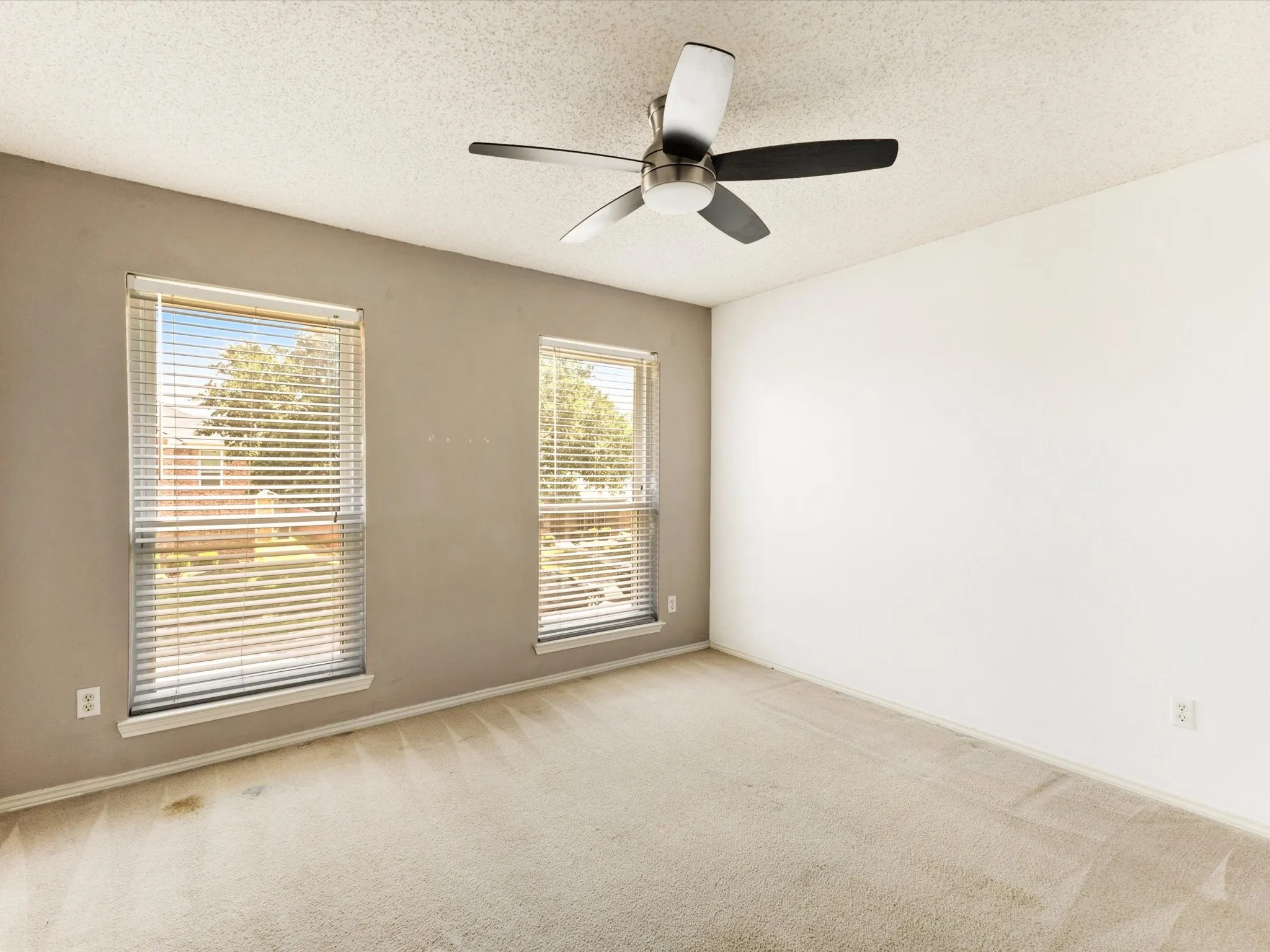 Dual windows with horizontal blinds, neutral-toned carpeting, and a ceiling fan with integrated lighting