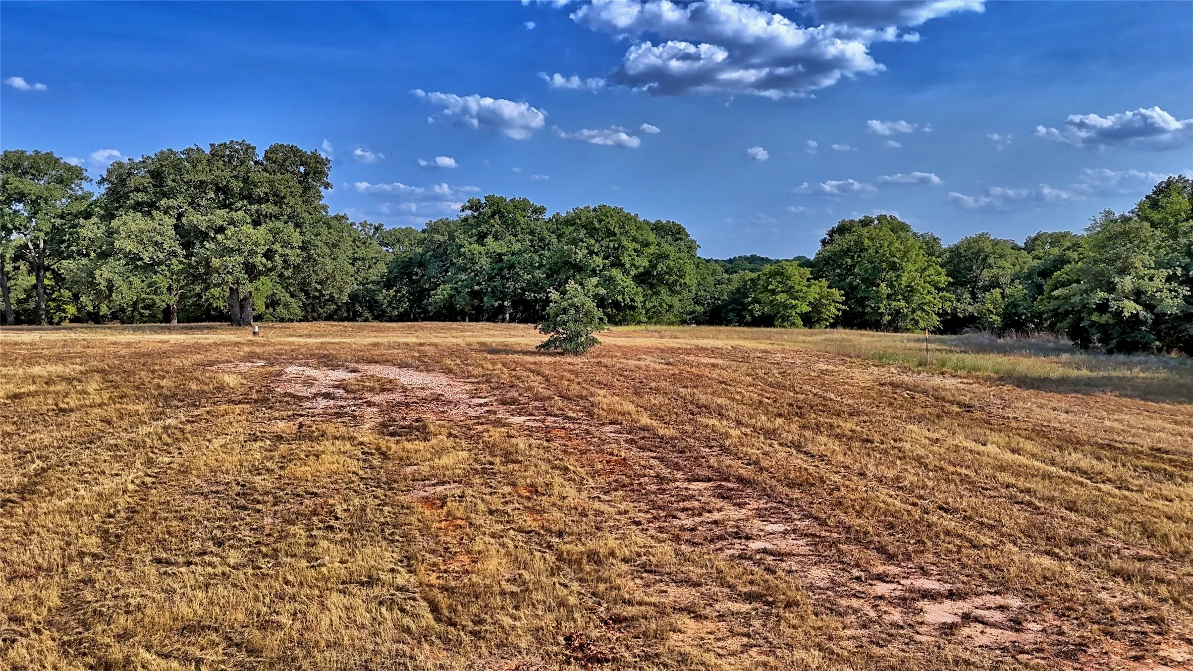 Improved Land For Sale in Montague County , 384 Red Oak Hills Road, Nocona, Texas 76255, 0, 0, Garage spaces, 0 Sqft, built in 0, mls#21373132, Real Estate Agent in Nocona, Homes For Sale in Montague county, Homes For Sale in Nocona, Realtor in Nocona Texas, Real Estate Brokerage Independent Realty Texas, Luminita Cordes Realtor