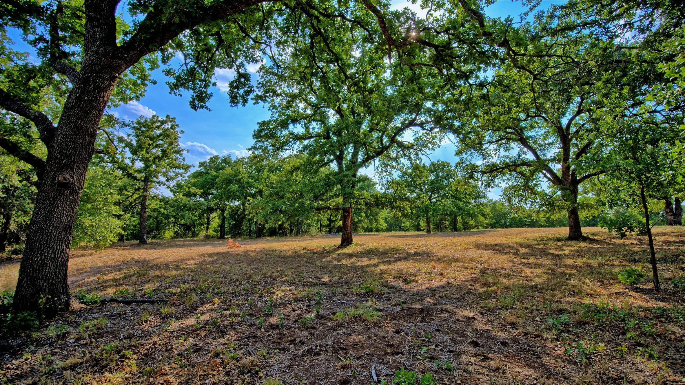Improved Land For Sale in Montague County , 384 Red Oak Hills Road, Nocona, Texas 76255, 0, 0, Garage spaces, 0 Sqft, built in 0, mls#21373132, Real Estate Agent in Nocona, Homes For Sale in Montague county, Homes For Sale in Nocona, Realtor in Nocona Texas, Real Estate Brokerage Independent Realty Texas, Luminita Cordes Realtor