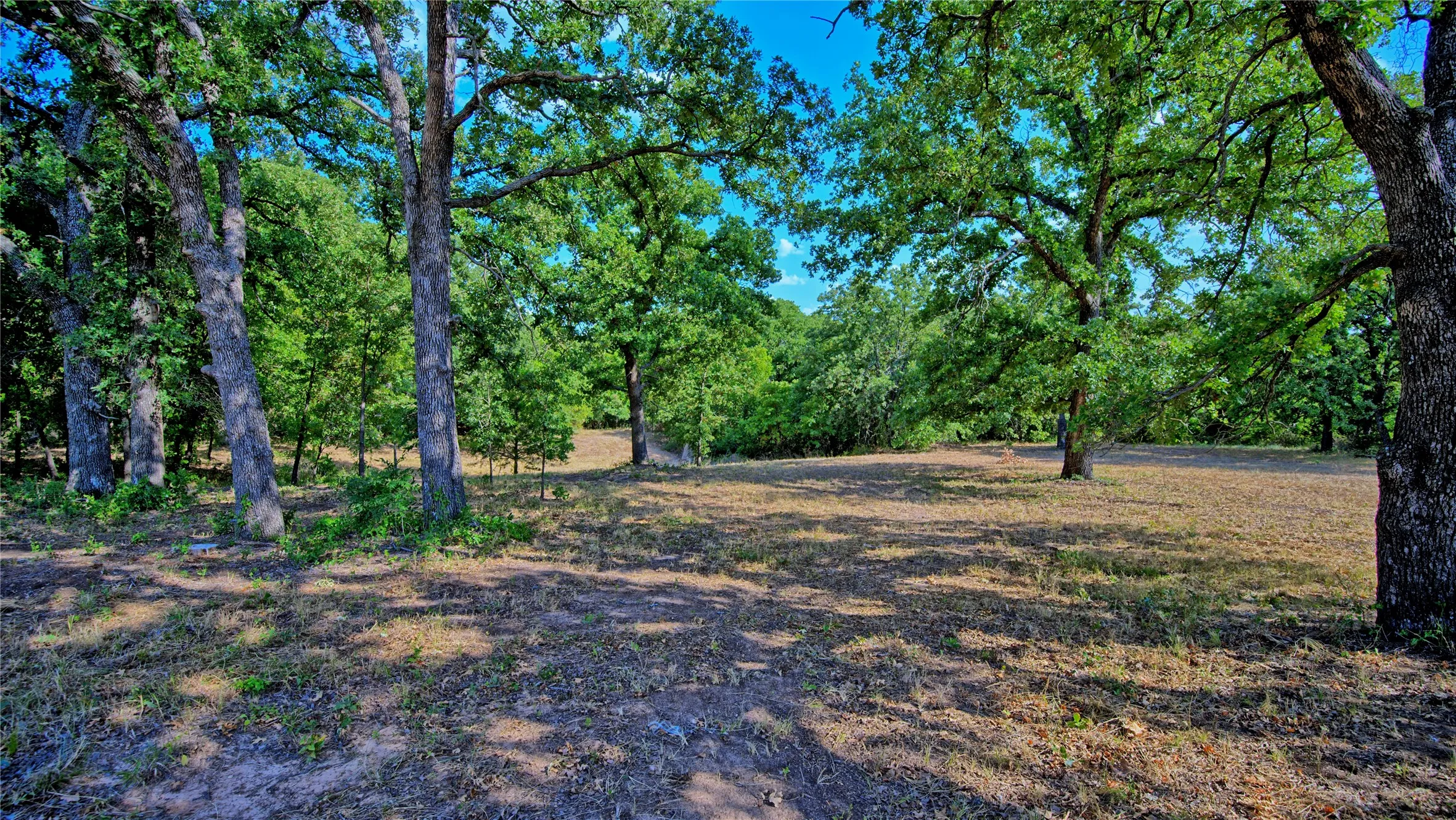 Improved Land For Sale in Montague County , 384 Red Oak Hills Road, Nocona, Texas 76255, 0, 0, Garage spaces, 0 Sqft, built in 0, mls#21373132, Real Estate Agent in Nocona, Homes For Sale in Montague county, Homes For Sale in Nocona, Realtor in Nocona Texas, Real Estate Brokerage Independent Realty Texas, Luminita Cordes Realtor