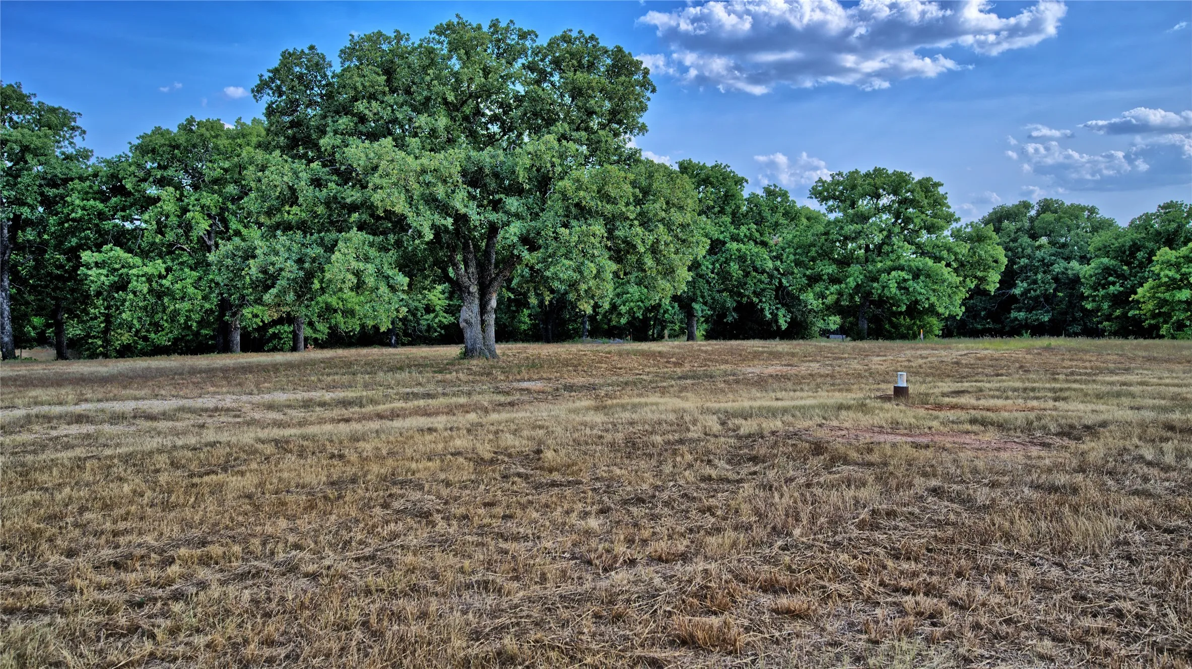 Improved Land For Sale in Montague County , 384 Red Oak Hills Road, Nocona, Texas 76255, 0, 0, Garage spaces, 0 Sqft, built in 0, mls#21373132, Real Estate Agent in Nocona, Homes For Sale in Montague county, Homes For Sale in Nocona, Realtor in Nocona Texas, Real Estate Brokerage Independent Realty Texas, Luminita Cordes Realtor