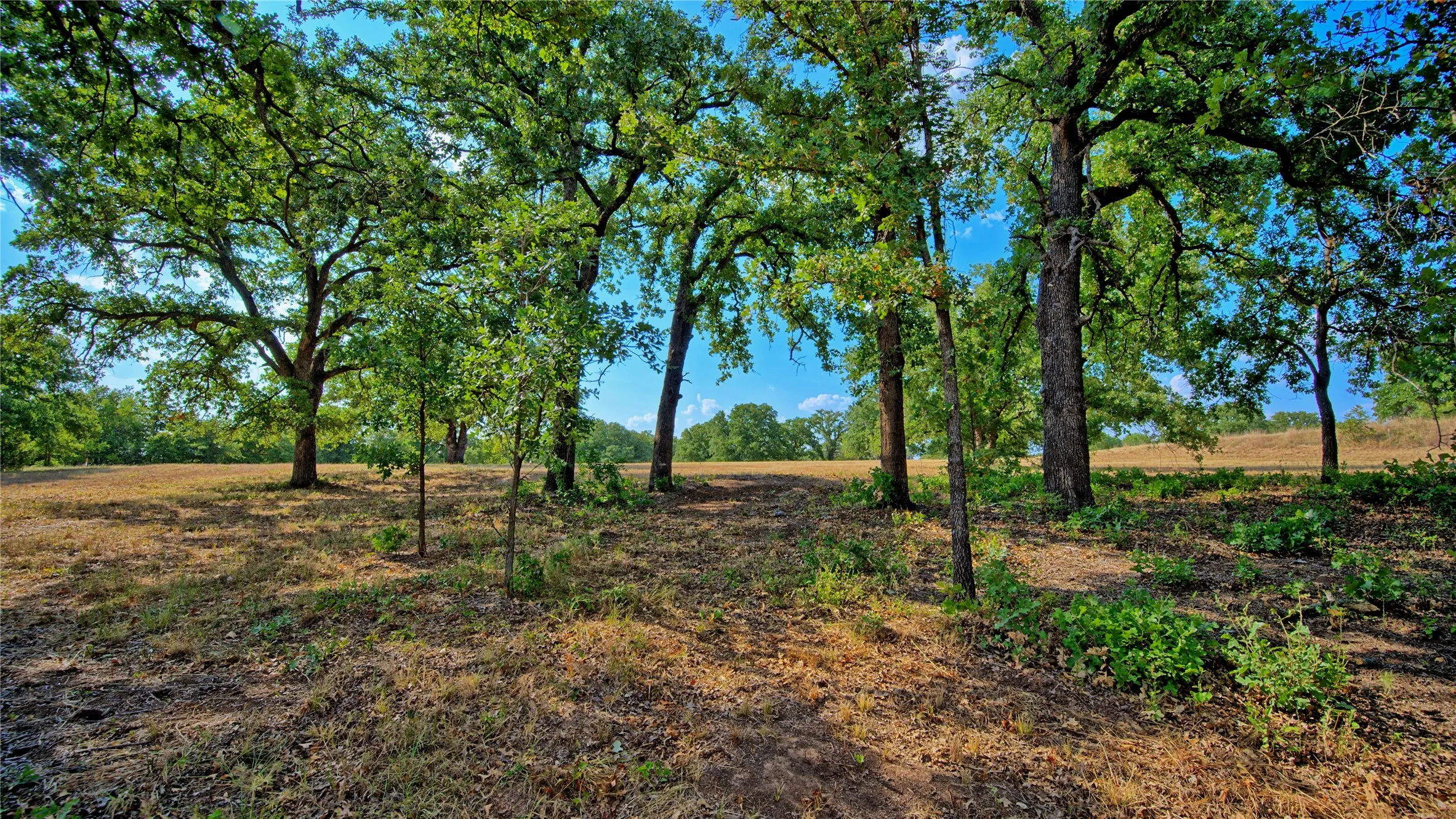 Improved Land For Sale in Montague County , 384 Red Oak Hills Road, Nocona, Texas 76255, 0, 0, Garage spaces, 0 Sqft, built in 0, mls#21373132, Real Estate Agent in Nocona, Homes For Sale in Montague county, Homes For Sale in Nocona, Realtor in Nocona Texas, Real Estate Brokerage Independent Realty Texas, Luminita Cordes Realtor