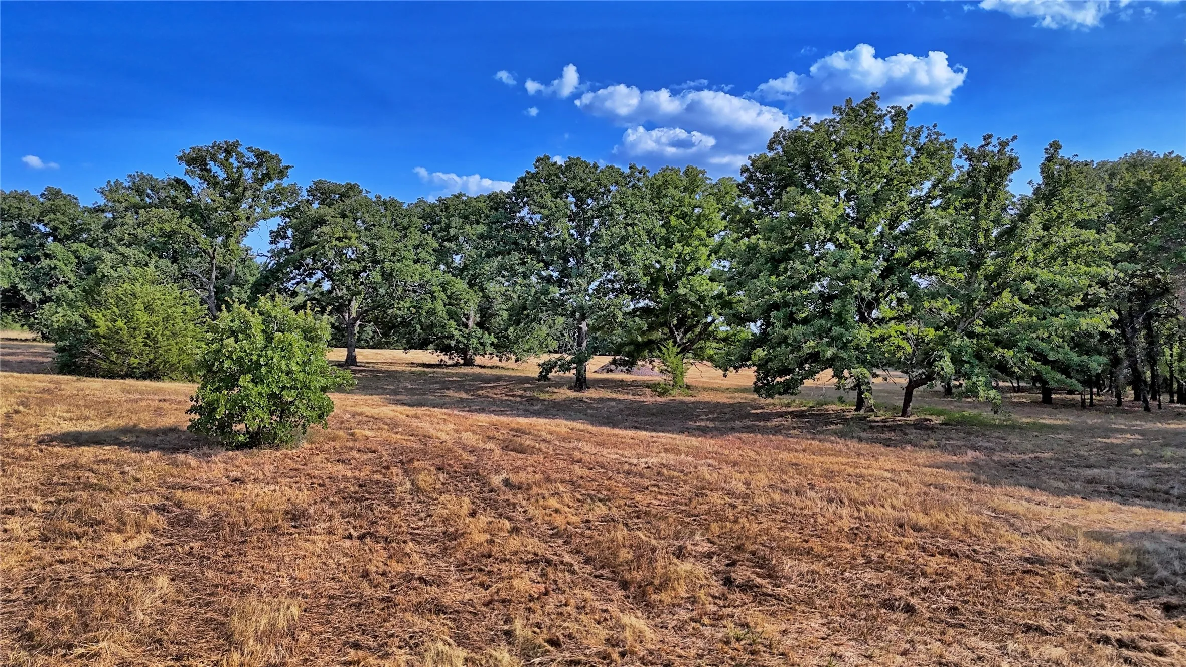 Improved Land For Sale in Montague County , 384 Red Oak Hills Road, Nocona, Texas 76255, 0, 0, Garage spaces, 0 Sqft, built in 0, mls#21373132, Real Estate Agent in Nocona, Homes For Sale in Montague county, Homes For Sale in Nocona, Realtor in Nocona Texas, Real Estate Brokerage Independent Realty Texas, Luminita Cordes Realtor