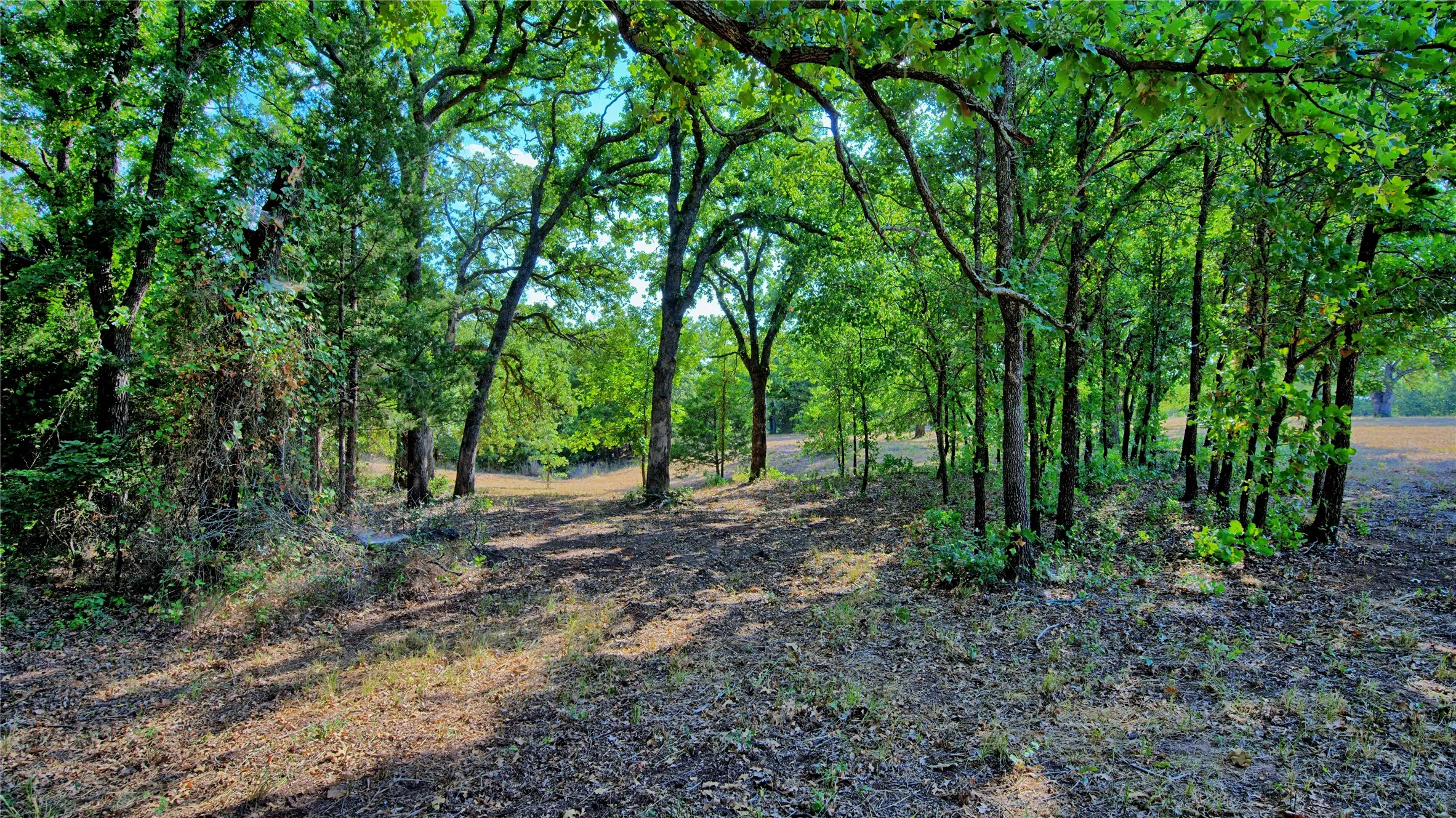 Improved Land For Sale in Montague County , 384 Red Oak Hills Road, Nocona, Texas 76255, 0, 0, Garage spaces, 0 Sqft, built in 0, mls#21373132, Real Estate Agent in Nocona, Homes For Sale in Montague county, Homes For Sale in Nocona, Realtor in Nocona Texas, Real Estate Brokerage Independent Realty Texas, Luminita Cordes Realtor