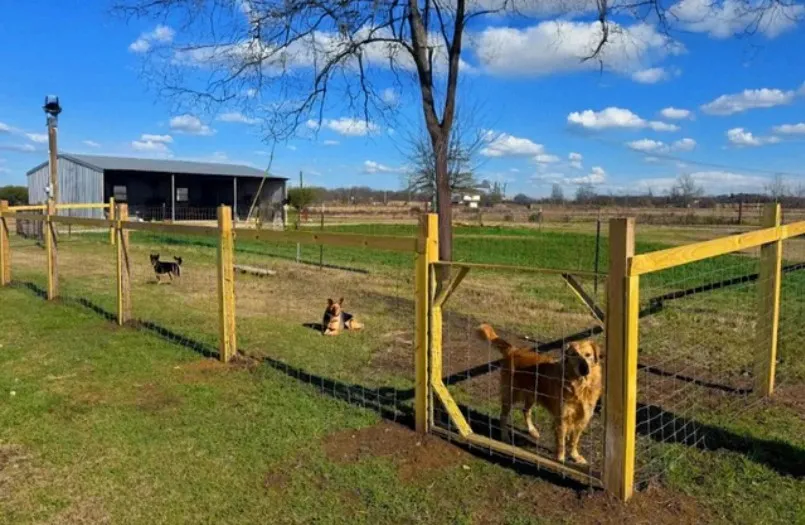 Fenced Dog Run for Park