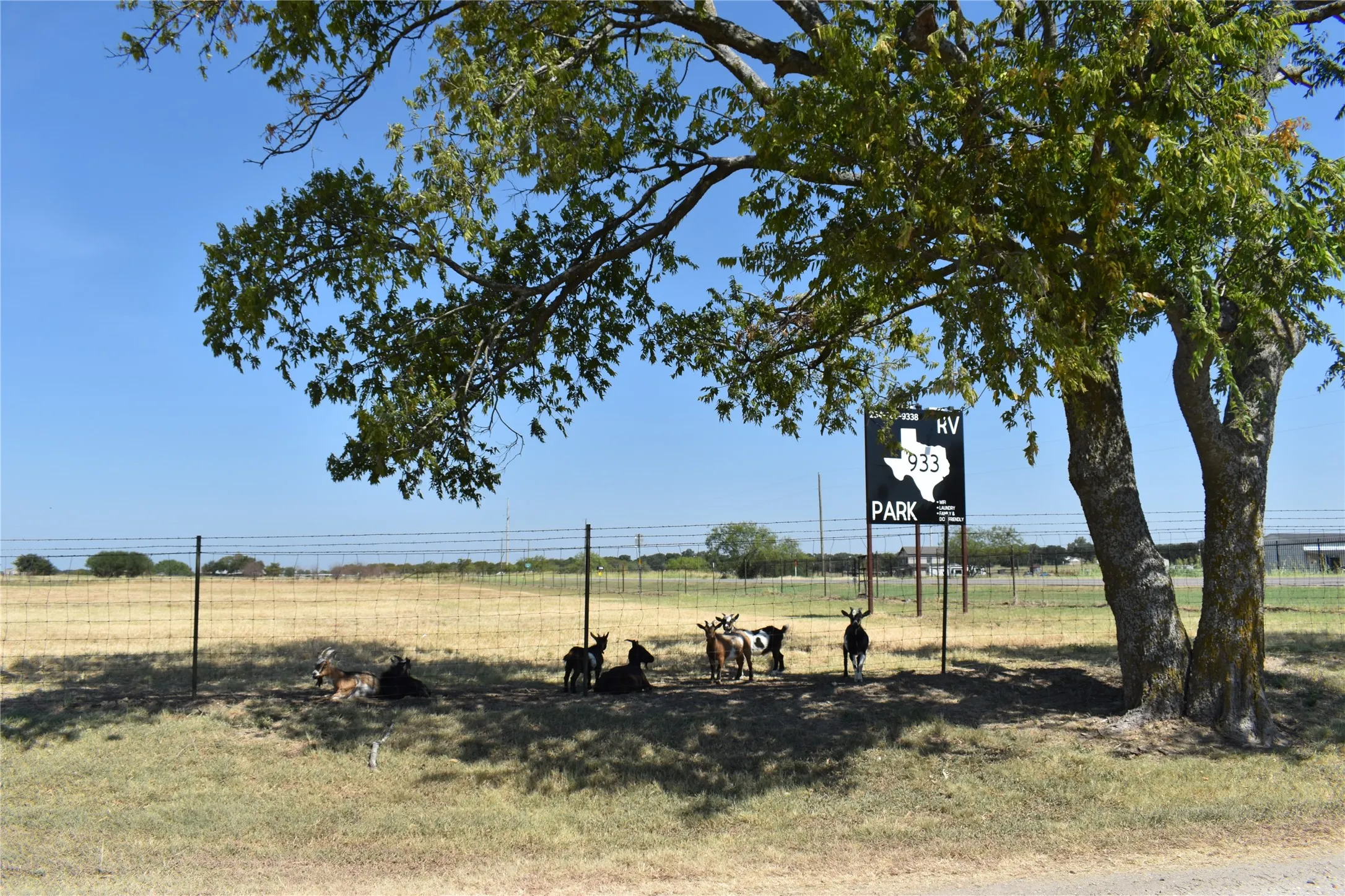 Room for livestock, horses or expansion