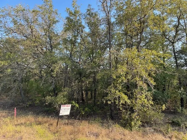Unimproved Land For Sale in Wise County , TBD Comewell Court, Runaway Bay, Texas 76426, 0, 0, Garage spaces, 0 Sqft, built in 0, mls#21373171, Real Estate Agent in Runaway Bay, Homes For Sale in Wise county, Homes For Sale in Runaway Bay, Realtor in Runaway Bay Texas, Real Estate Brokerage Independent Realty Texas, Luminita Cordes Realtor