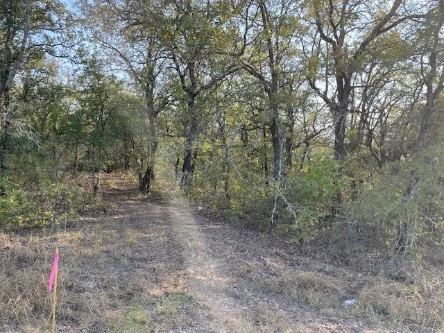 nature trail