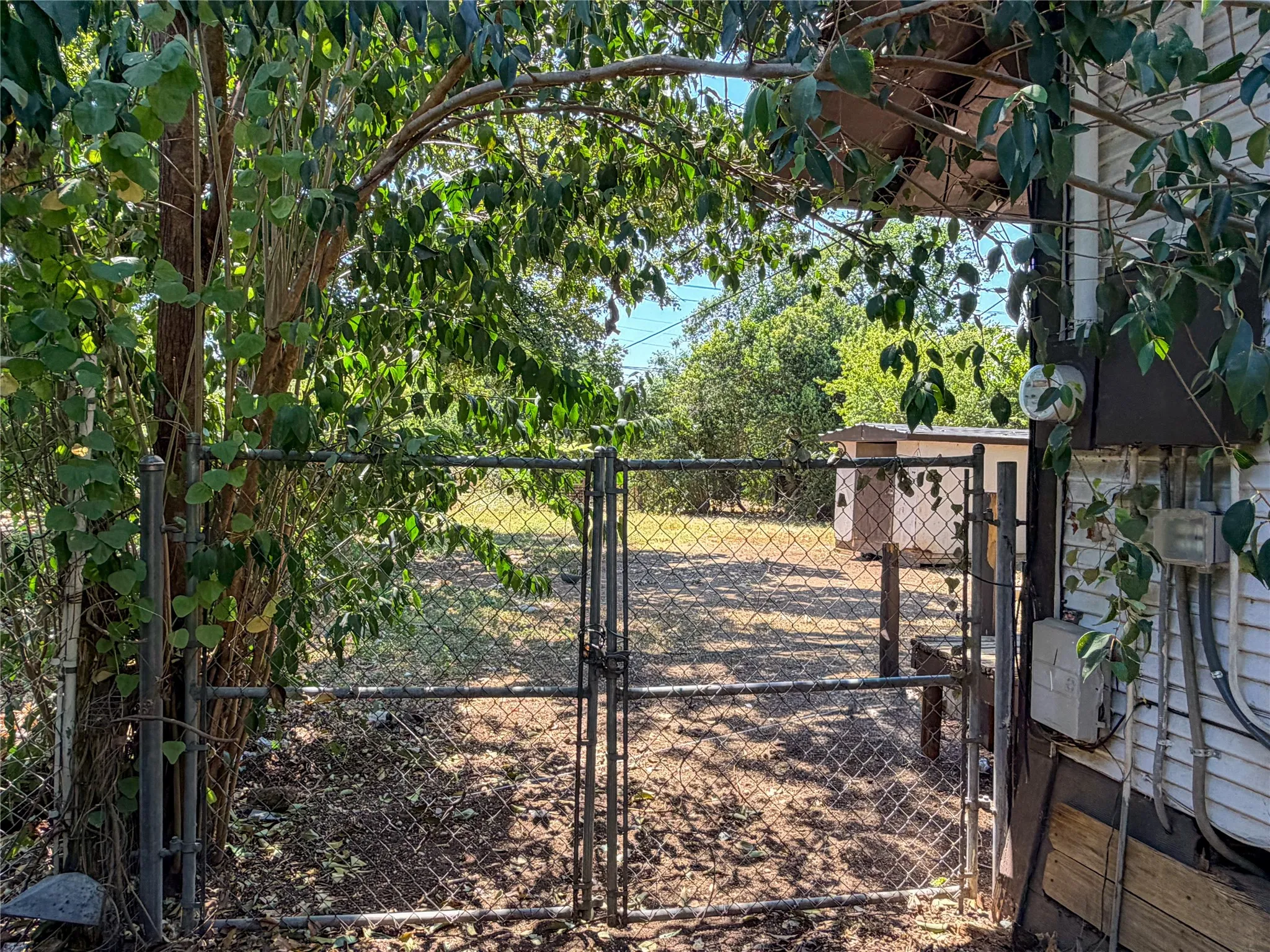 Fenced property with a chain-link gate and mature tree coverage