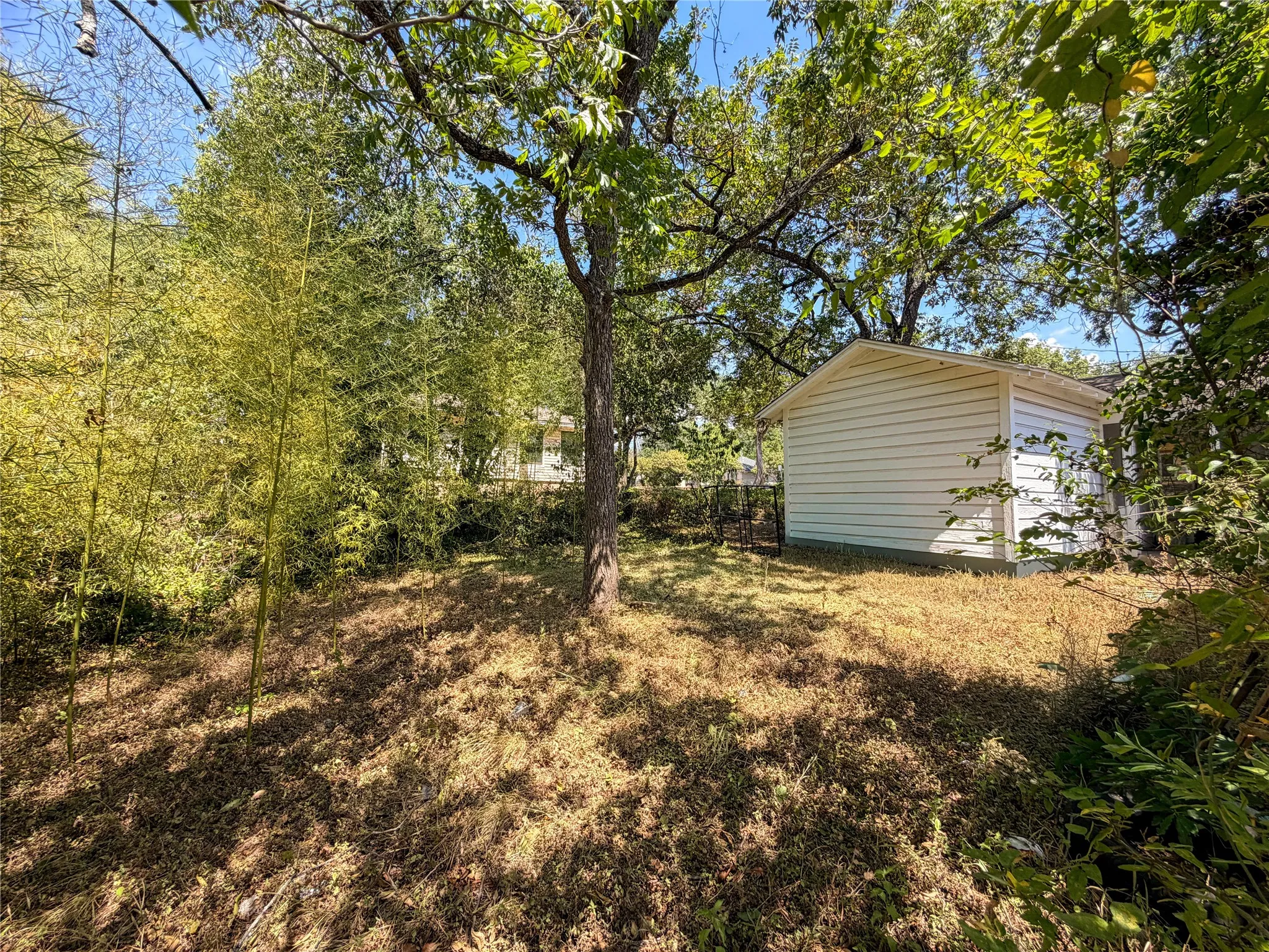 Detached white siding structure, mature trees, and natural ground cover