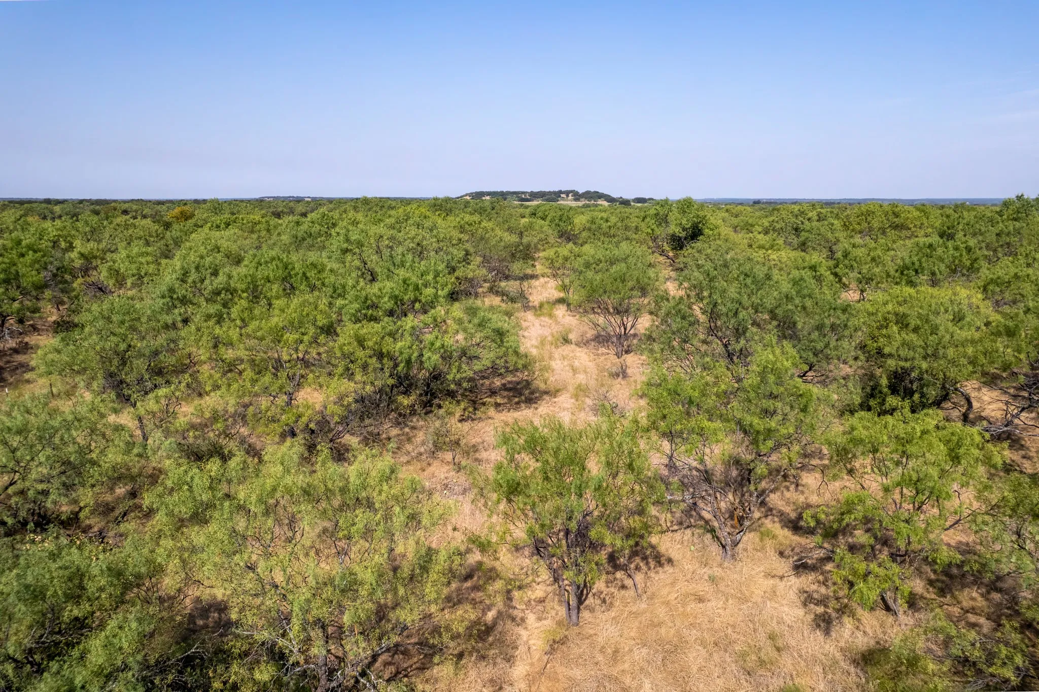 Unimproved Land For Sale in Eastland County , 454 CR 196, Gorman, Texas 76454, 0, 0, Garage spaces, 0 Sqft, built in 0, mls#21370182, Real Estate Agent in Gorman, Homes For Sale in Eastland county, Homes For Sale in Gorman, Realtor in Gorman Texas, Real Estate Brokerage Independent Realty Texas, Luminita Cordes Realtor