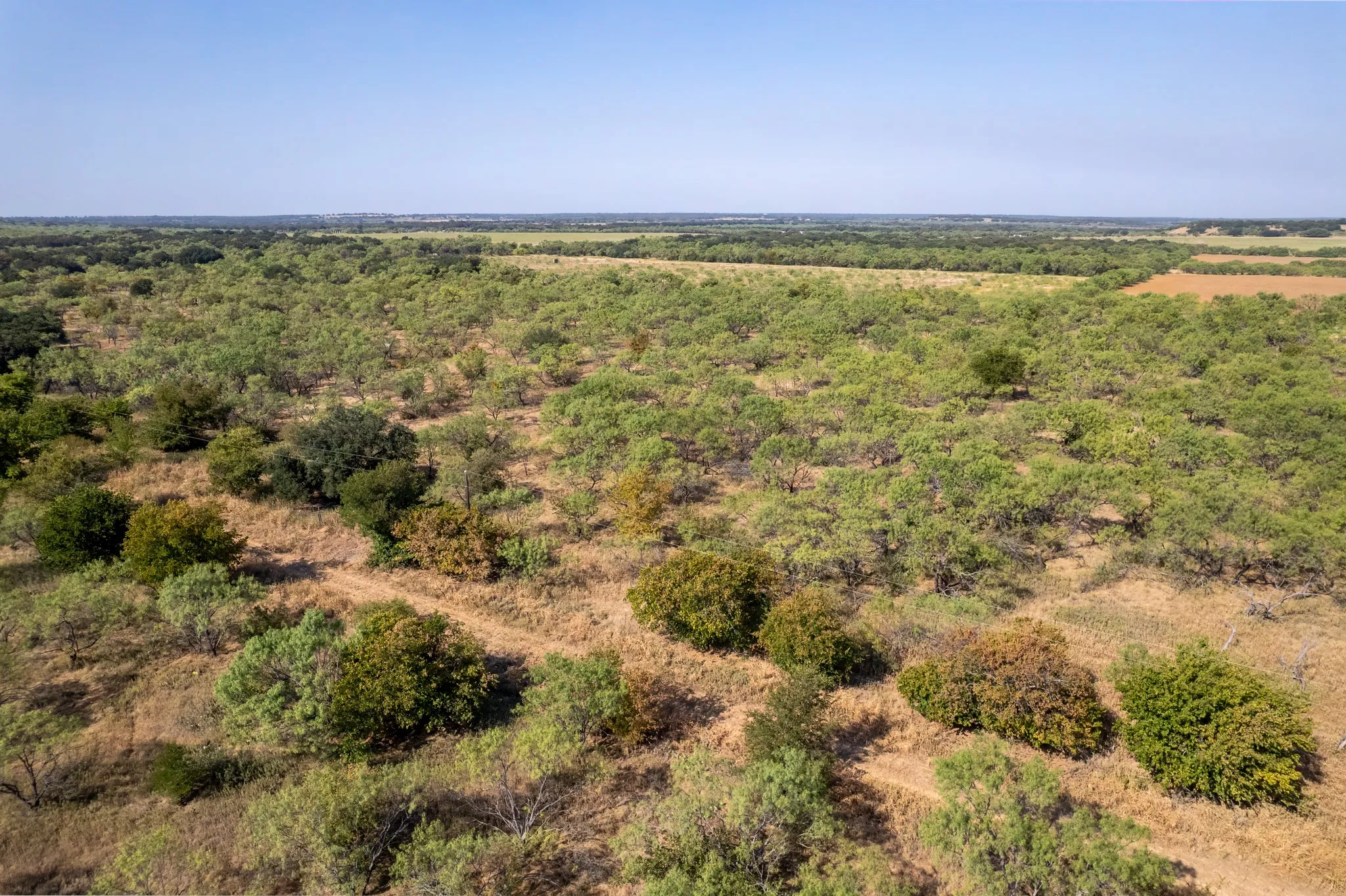 Unimproved Land For Sale in Eastland County , 454 CR 196, Gorman, Texas 76454, 0, 0, Garage spaces, 0 Sqft, built in 0, mls#21370182, Real Estate Agent in Gorman, Homes For Sale in Eastland county, Homes For Sale in Gorman, Realtor in Gorman Texas, Real Estate Brokerage Independent Realty Texas, Luminita Cordes Realtor
