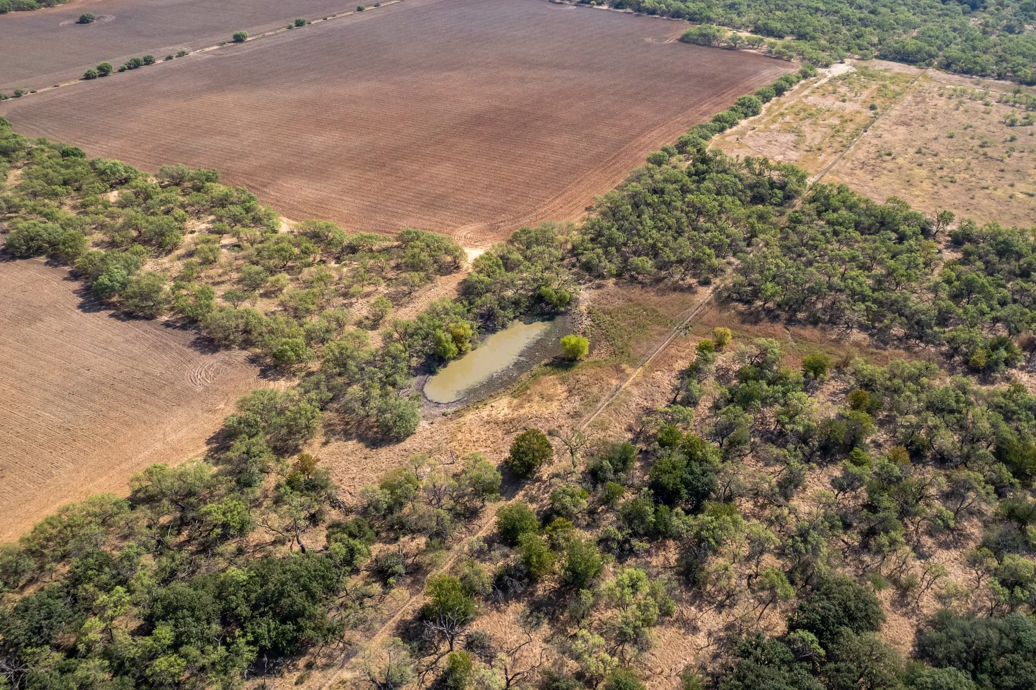 Unimproved Land For Sale in Eastland County , 454 CR 196, Gorman, Texas 76454, 0, 0, Garage spaces, 0 Sqft, built in 0, mls#21370182, Real Estate Agent in Gorman, Homes For Sale in Eastland county, Homes For Sale in Gorman, Realtor in Gorman Texas, Real Estate Brokerage Independent Realty Texas, Luminita Cordes Realtor
