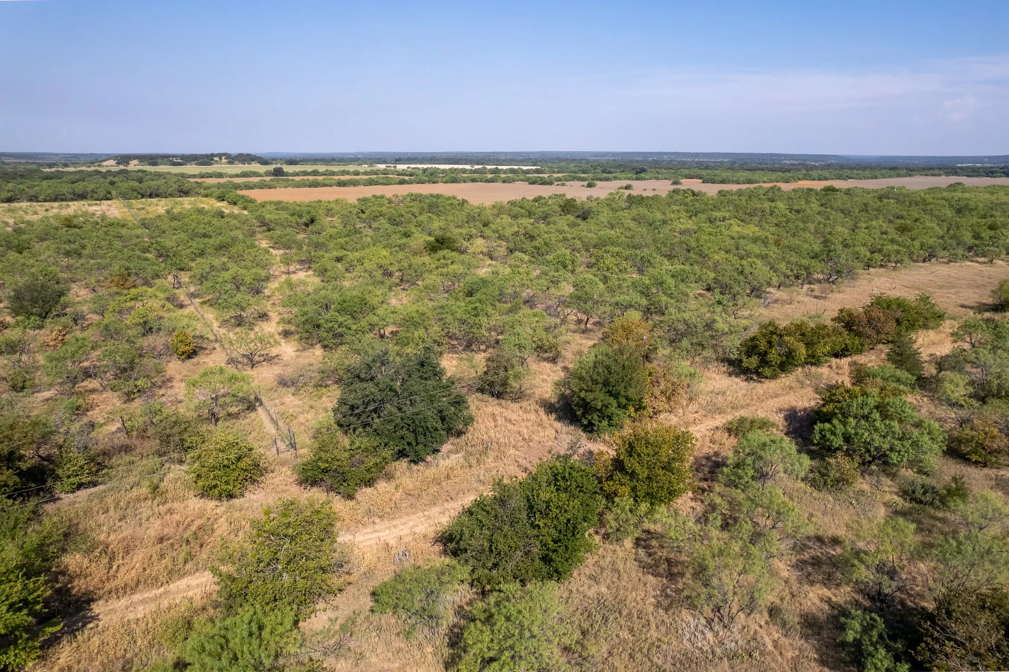 Unimproved Land For Sale in Eastland County , 454 CR 196, Gorman, Texas 76454, 0, 0, Garage spaces, 0 Sqft, built in 0, mls#21370182, Real Estate Agent in Gorman, Homes For Sale in Eastland county, Homes For Sale in Gorman, Realtor in Gorman Texas, Real Estate Brokerage Independent Realty Texas, Luminita Cordes Realtor